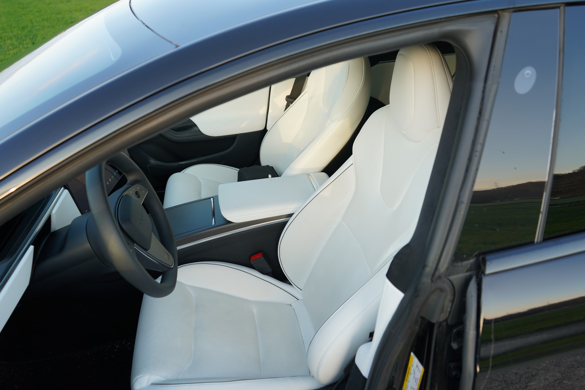 TESLA Model S 100 kWh Plaid-image-3