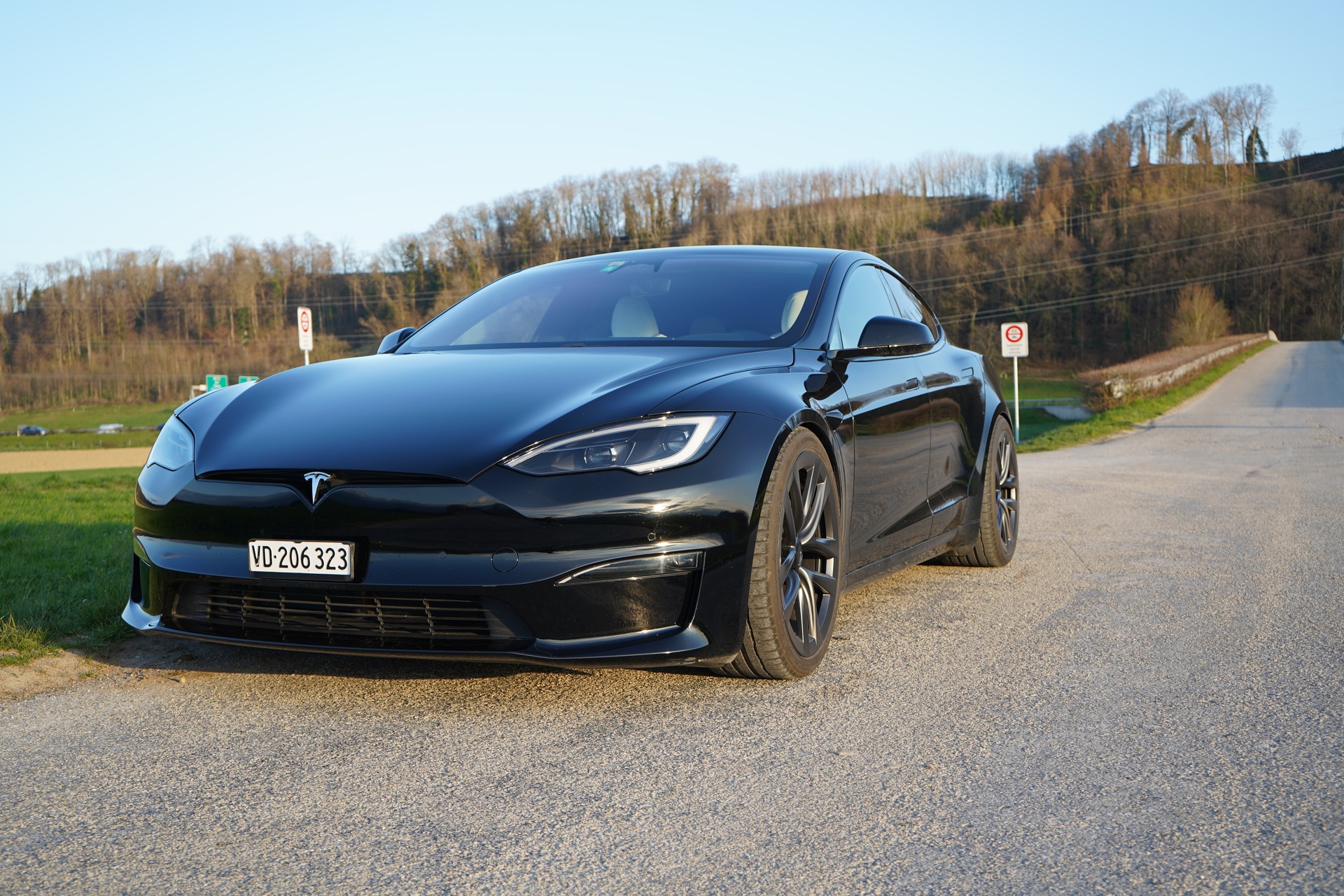 TESLA Model S 100 kWh Plaid-image-2