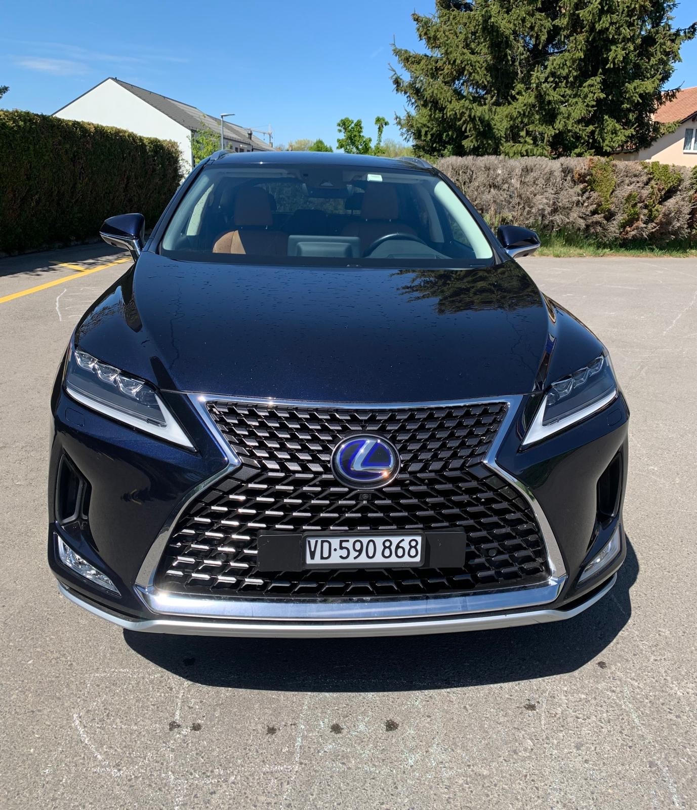 LEXUS RX 450h excellence AWD CVT-image-1