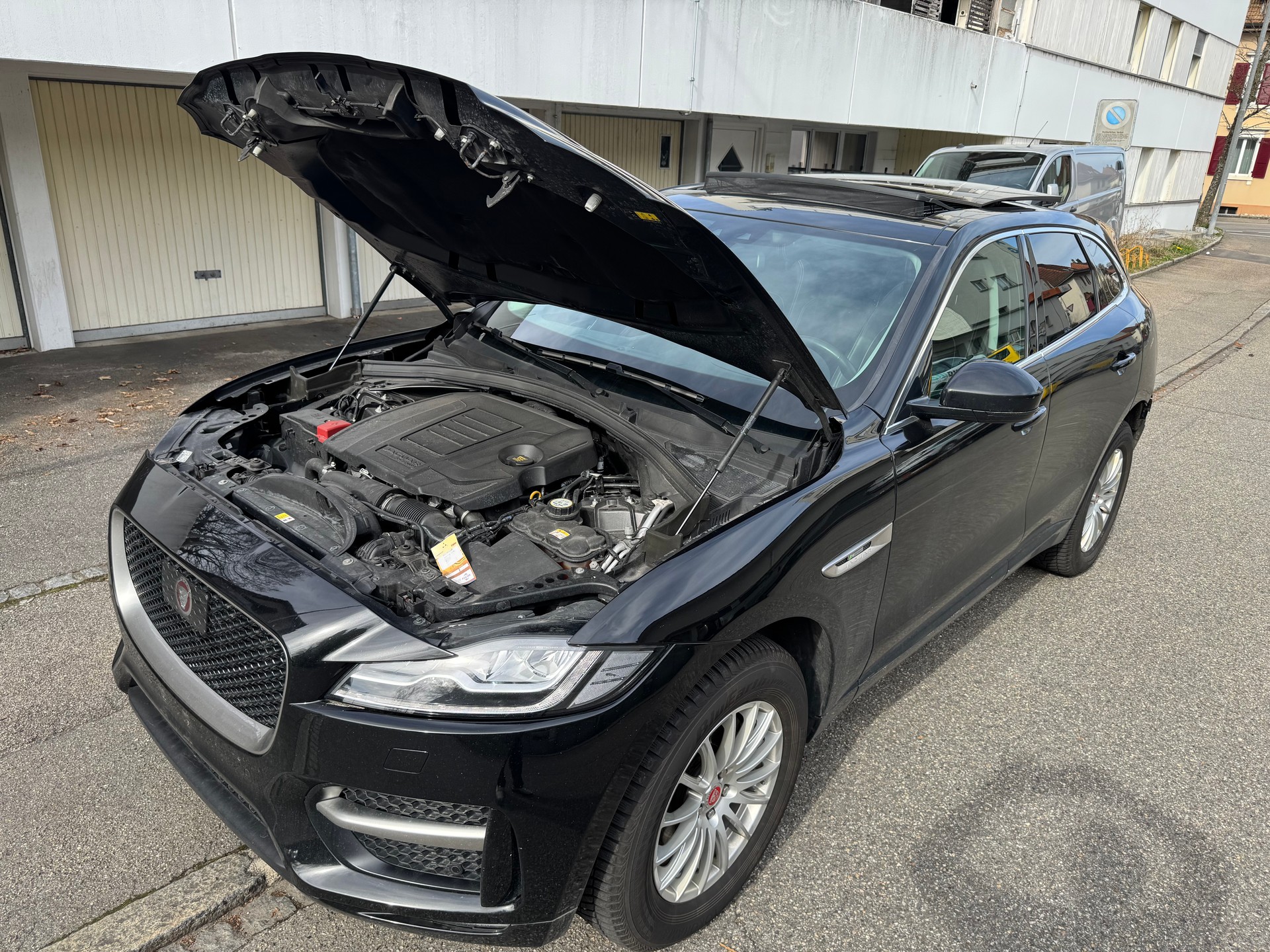 JAGUAR F-Pace 25t 2.0 R-Sport AWD Automatik-image-9