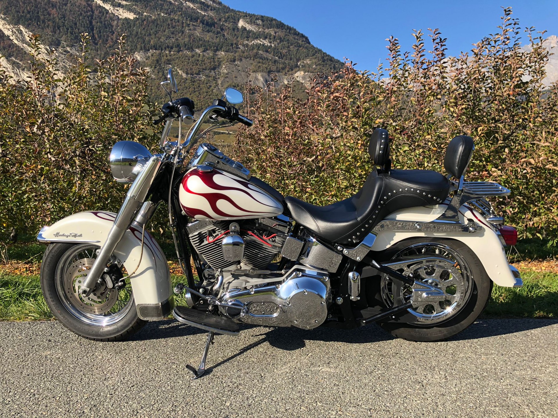 HARLEY-DAVIDSON FLSTI Softail Heritage-image-5