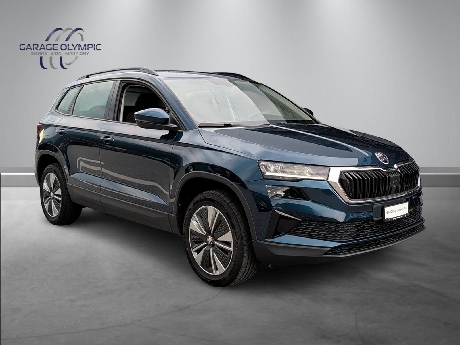 SKODA Karoq 1.0 TSI Ambition-image-1