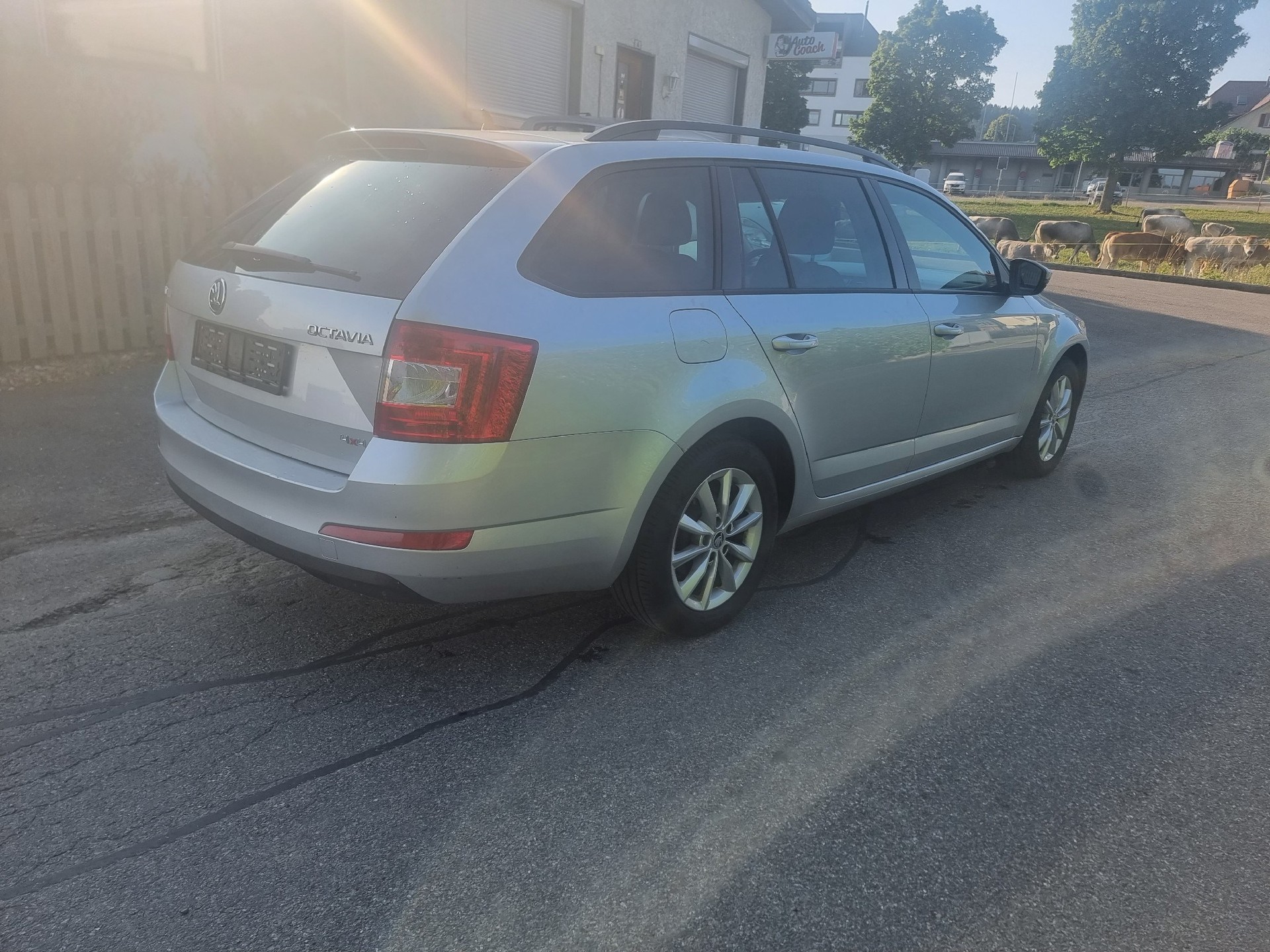 SKODA Octavia Combi 1.6 TDI Ambition 4x4-image-6