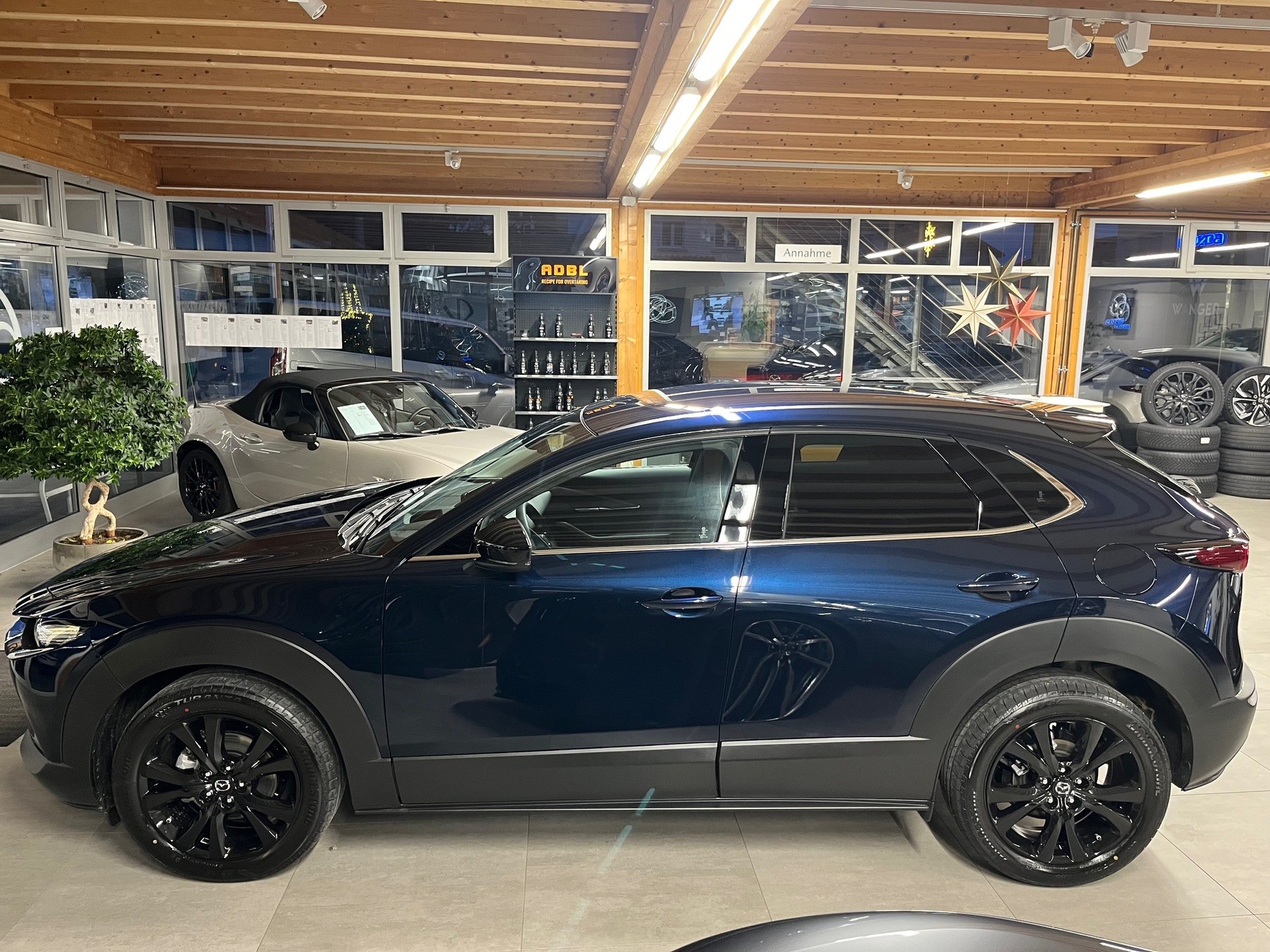 MAZDA CX-30 SKYACTIV-X 186 M Hybrid Homura FWD AT-image-6