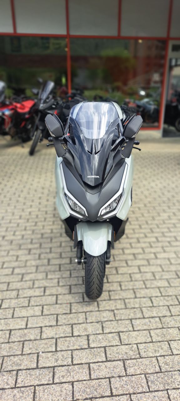HONDA NSS 350 Top Box-image-1