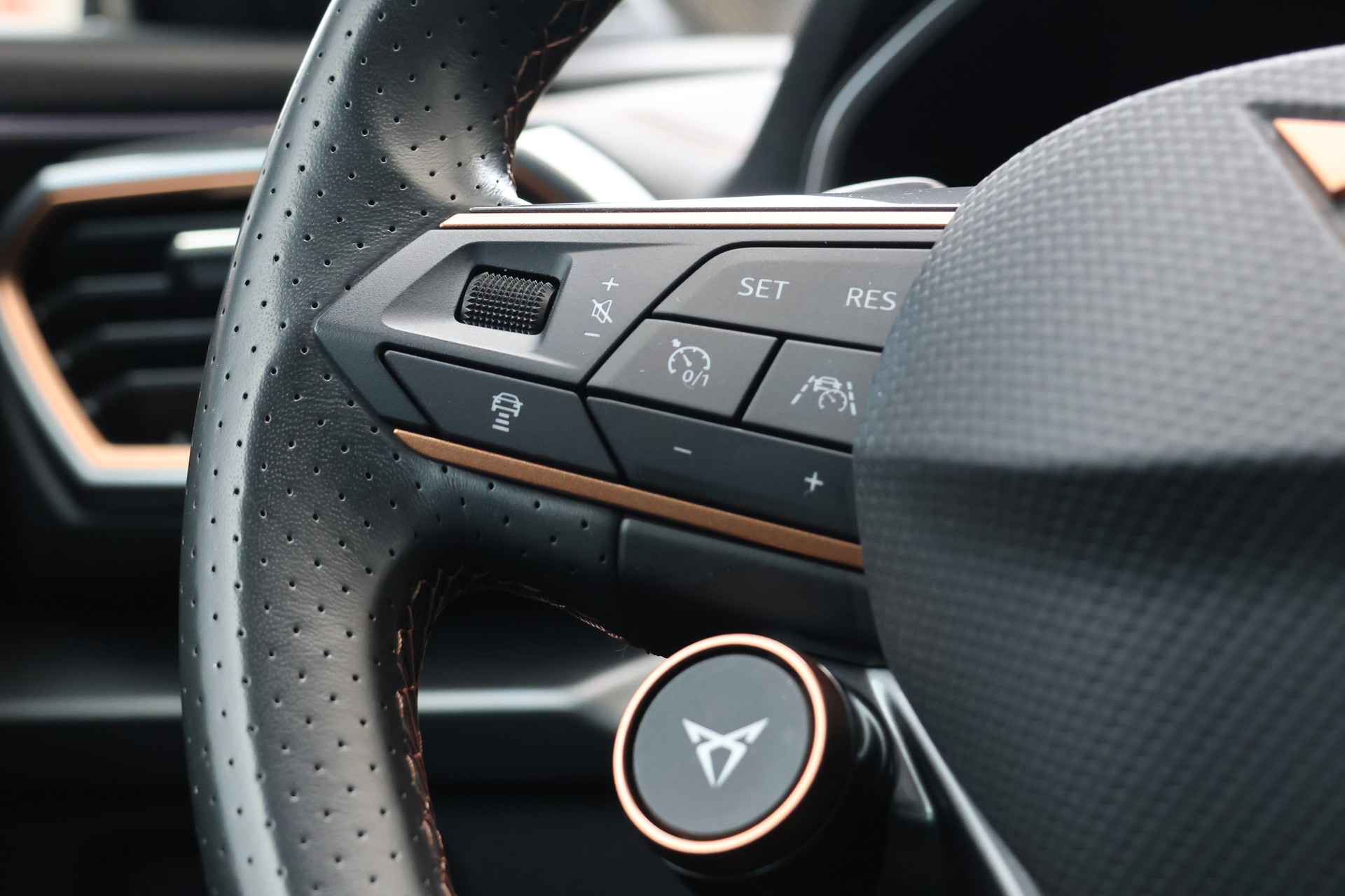 CUPRA Formentor 2.0TSI VZ 4Drive DSG (CH)-image-15