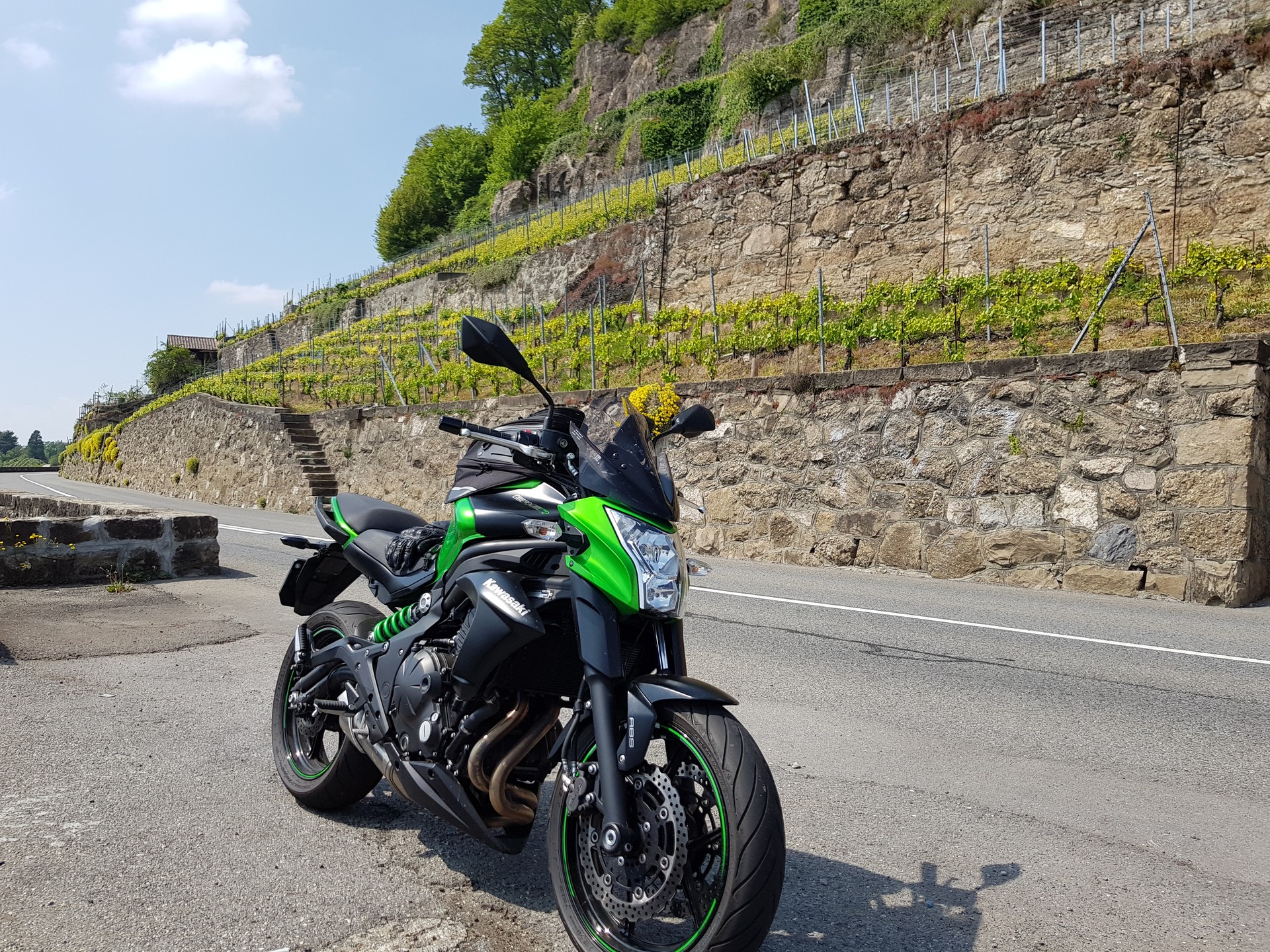 KAWASAKI ER-6 n ABS-image-3