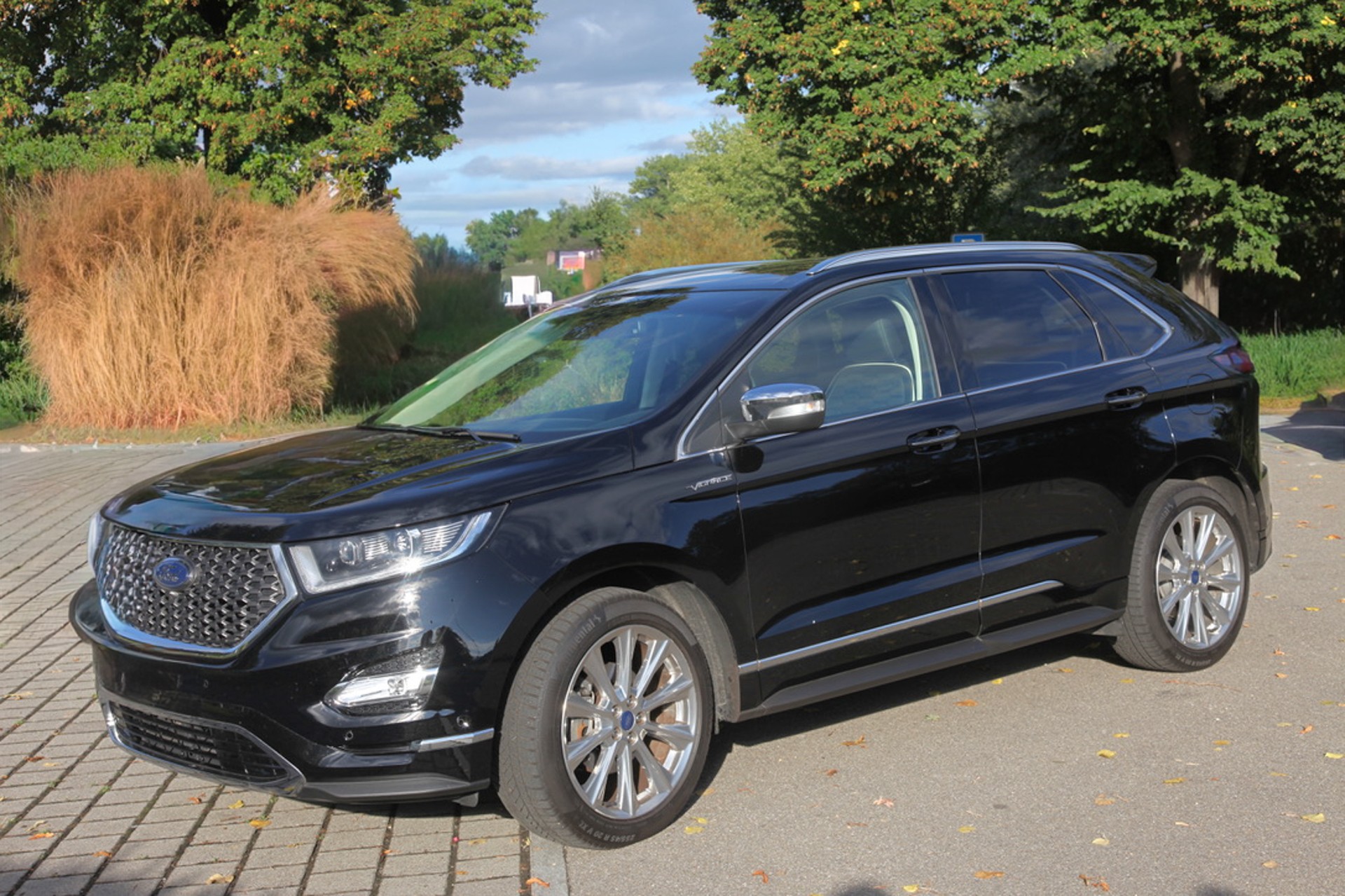 FORD 2.0 TDCi 210 Vignale FPS-image-1