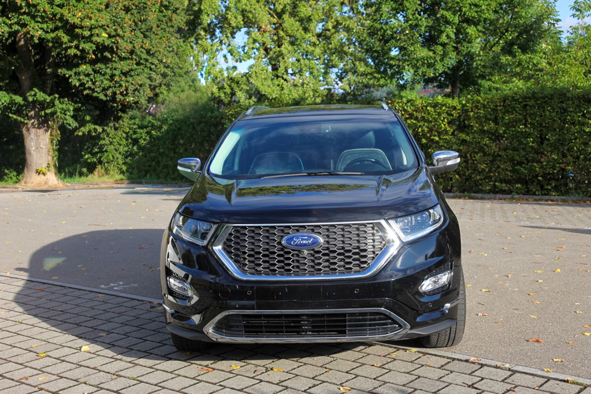 FORD 2.0 TDCi 210 Vignale FPS-image-3