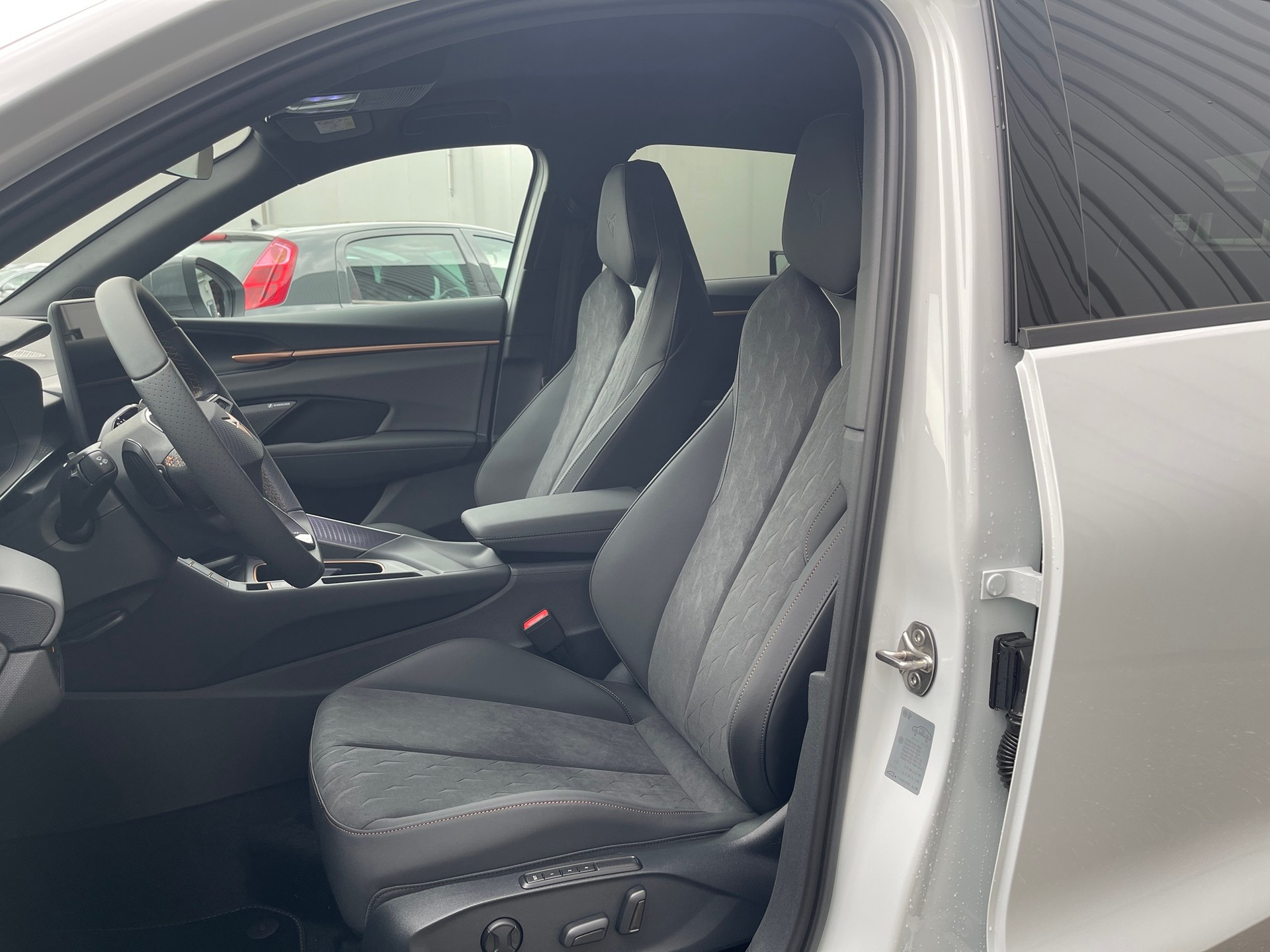 CUPRA Terramar 2.0 TSI Prime Edition DSG 4Drive-image-6