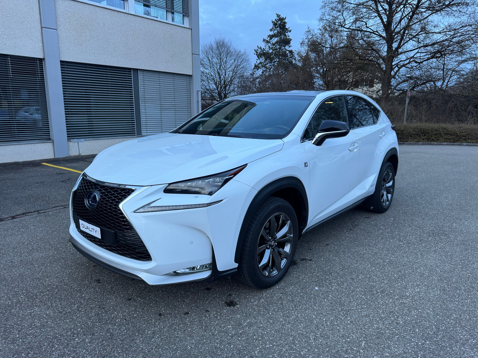 LEXUS NX 300h F-Sport E-Four Automatic-image-0