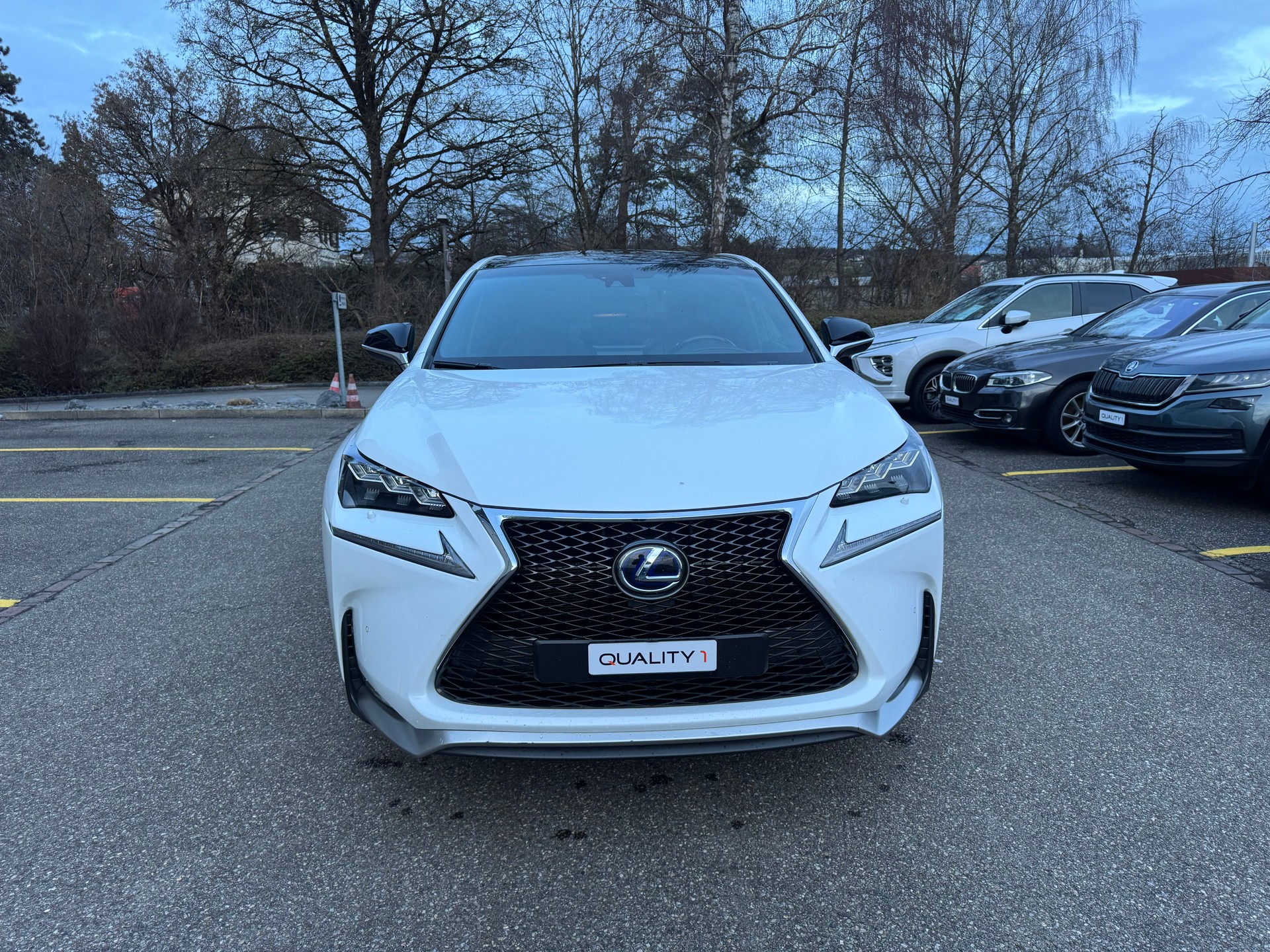 LEXUS NX 300h F-Sport E-Four Automatic-image-1