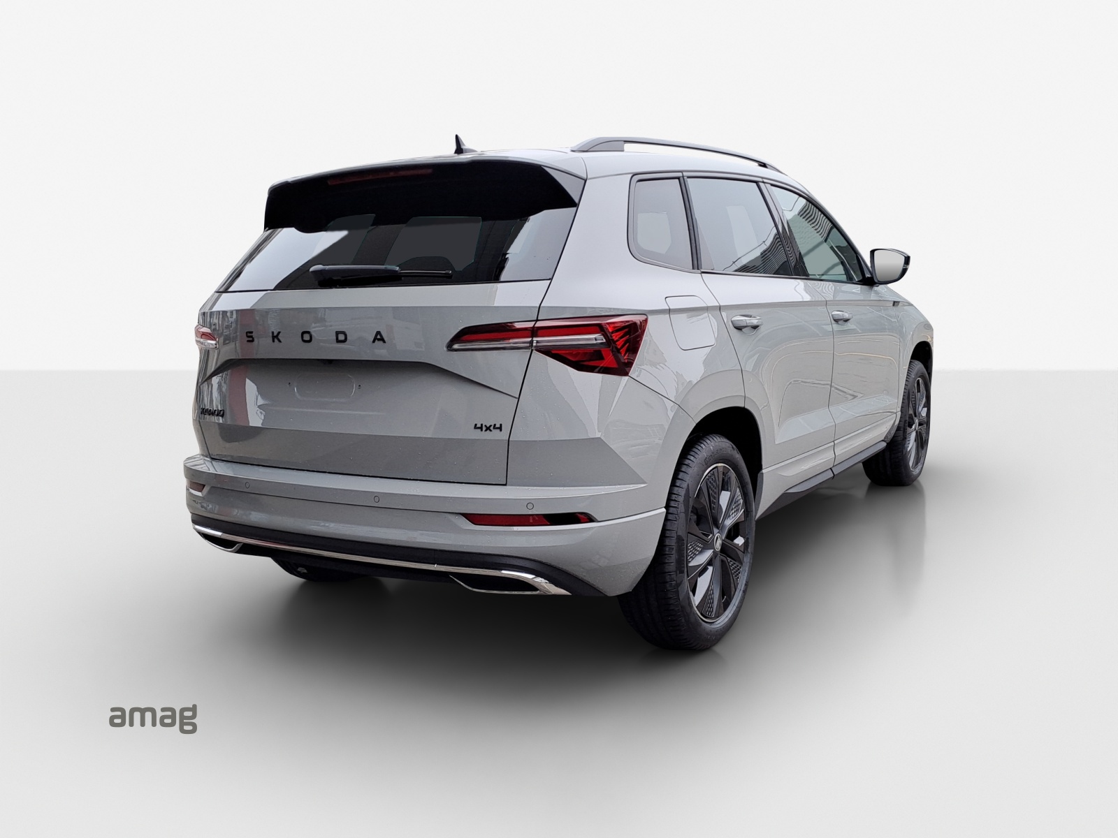 SKODA Karoq 2.0 TSI Dynamic Limited Edition 4x4 DSG-image-4