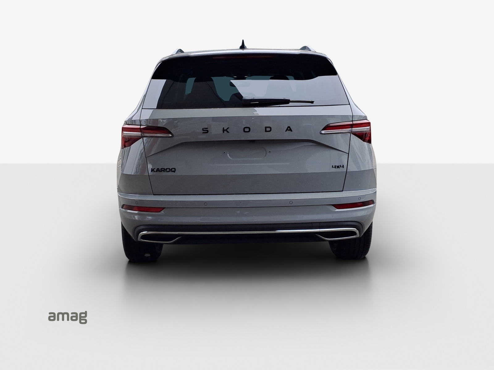 SKODA Karoq 2.0 TSI Dynamic Limited Edition 4x4 DSG-image-3