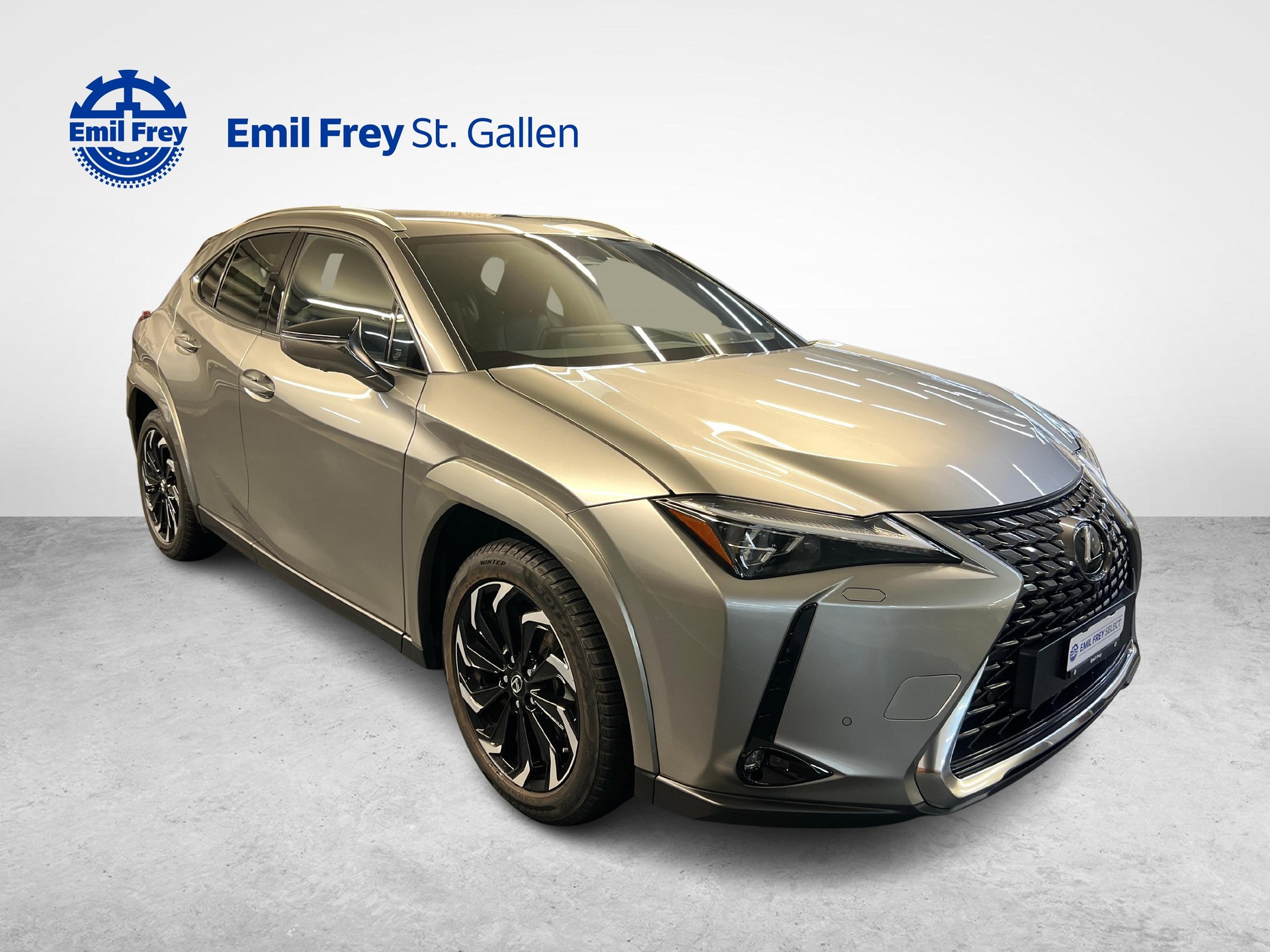 LEXUS UX 300h Excellence-image-6
