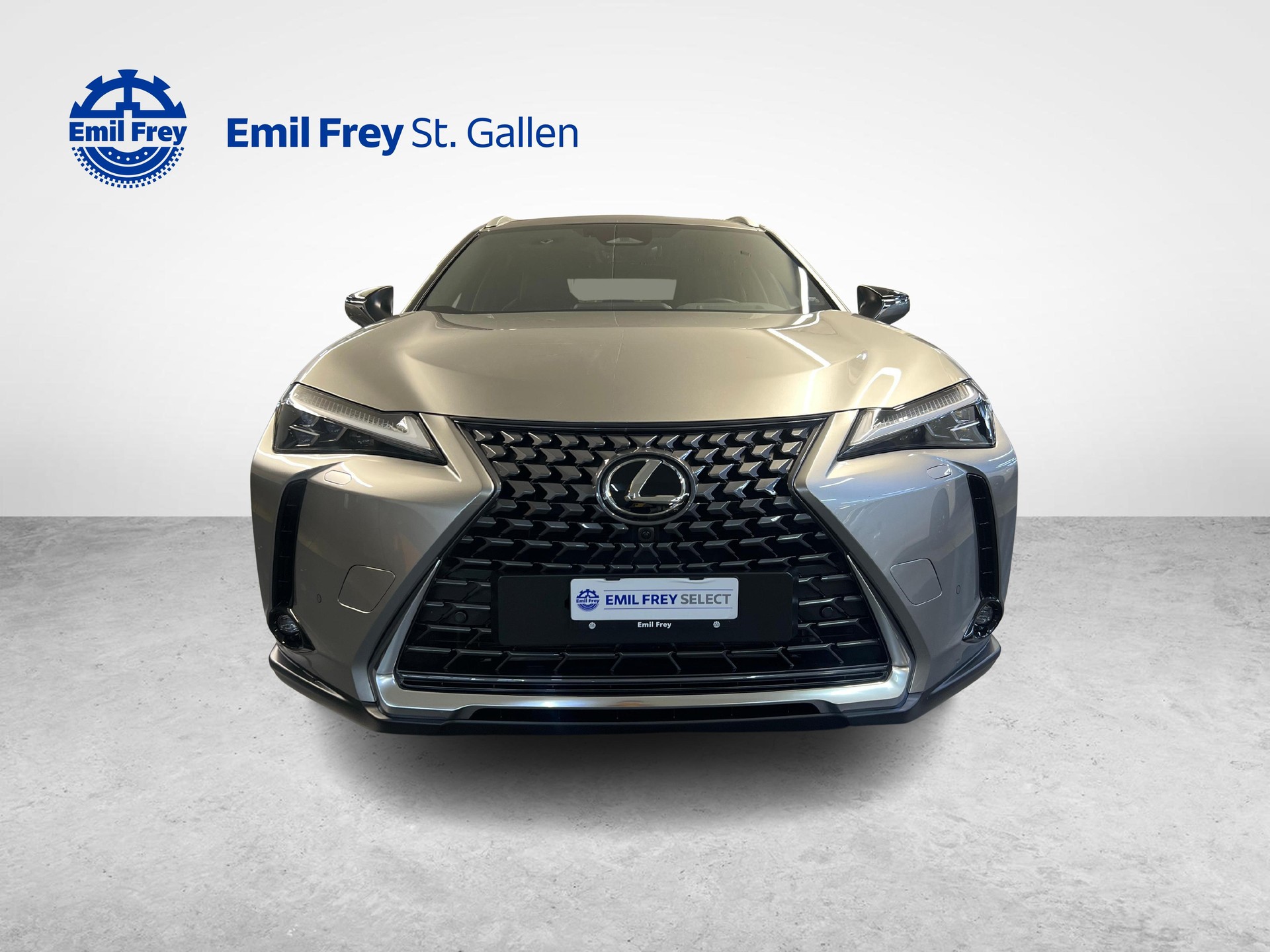 LEXUS UX 300h Excellence-image-7