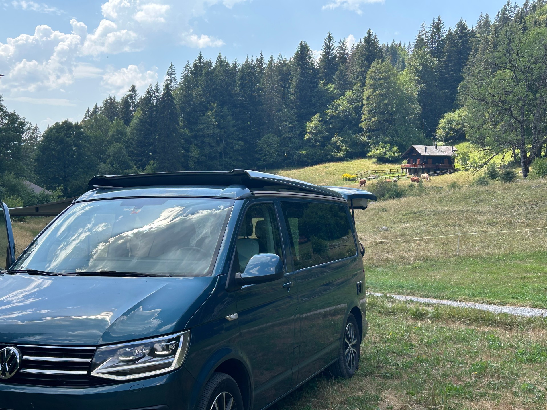 VW T6-image-5