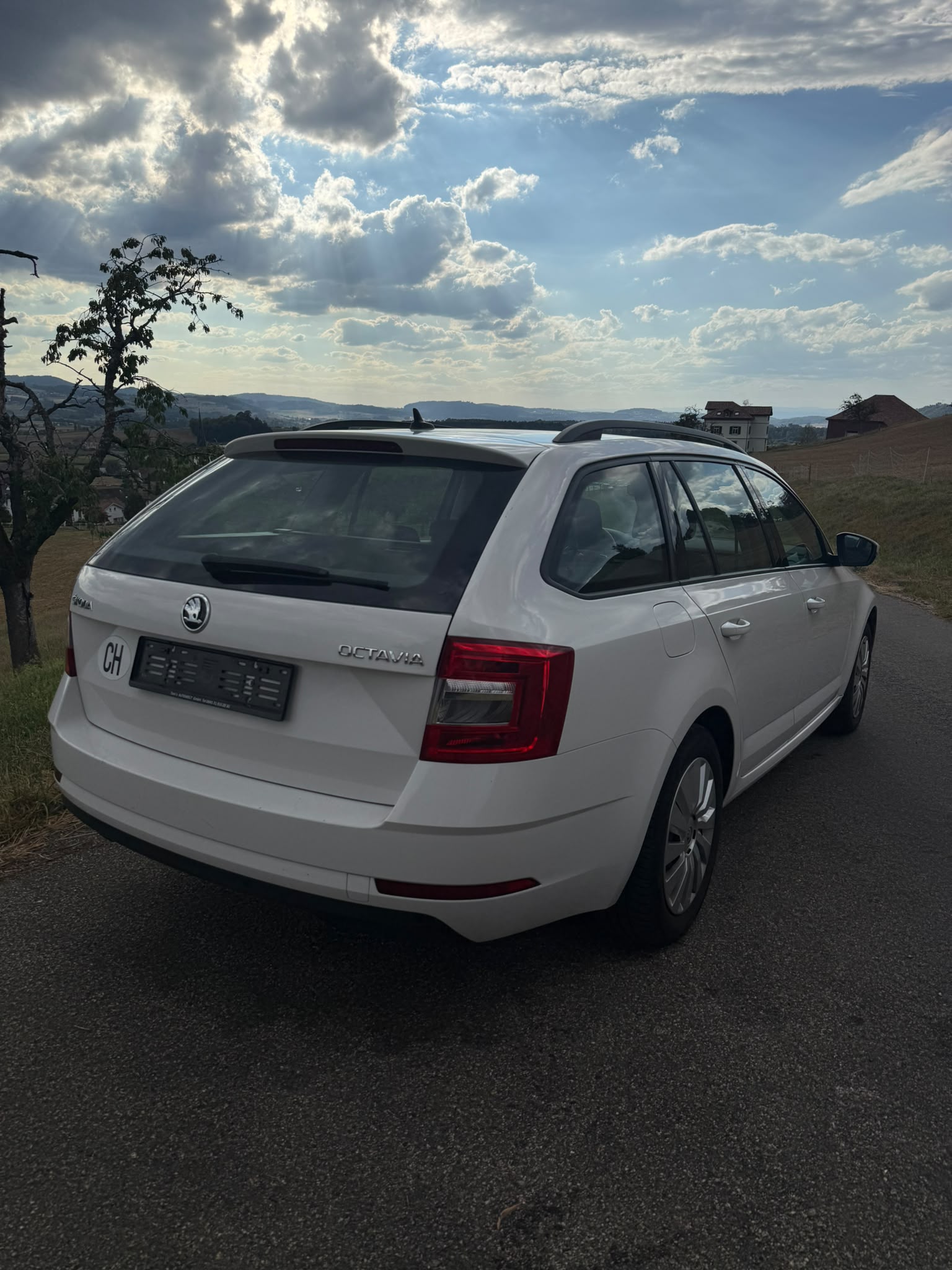 SKODA Octavia Combi 1.6 TDI Ambition DSG-image-4