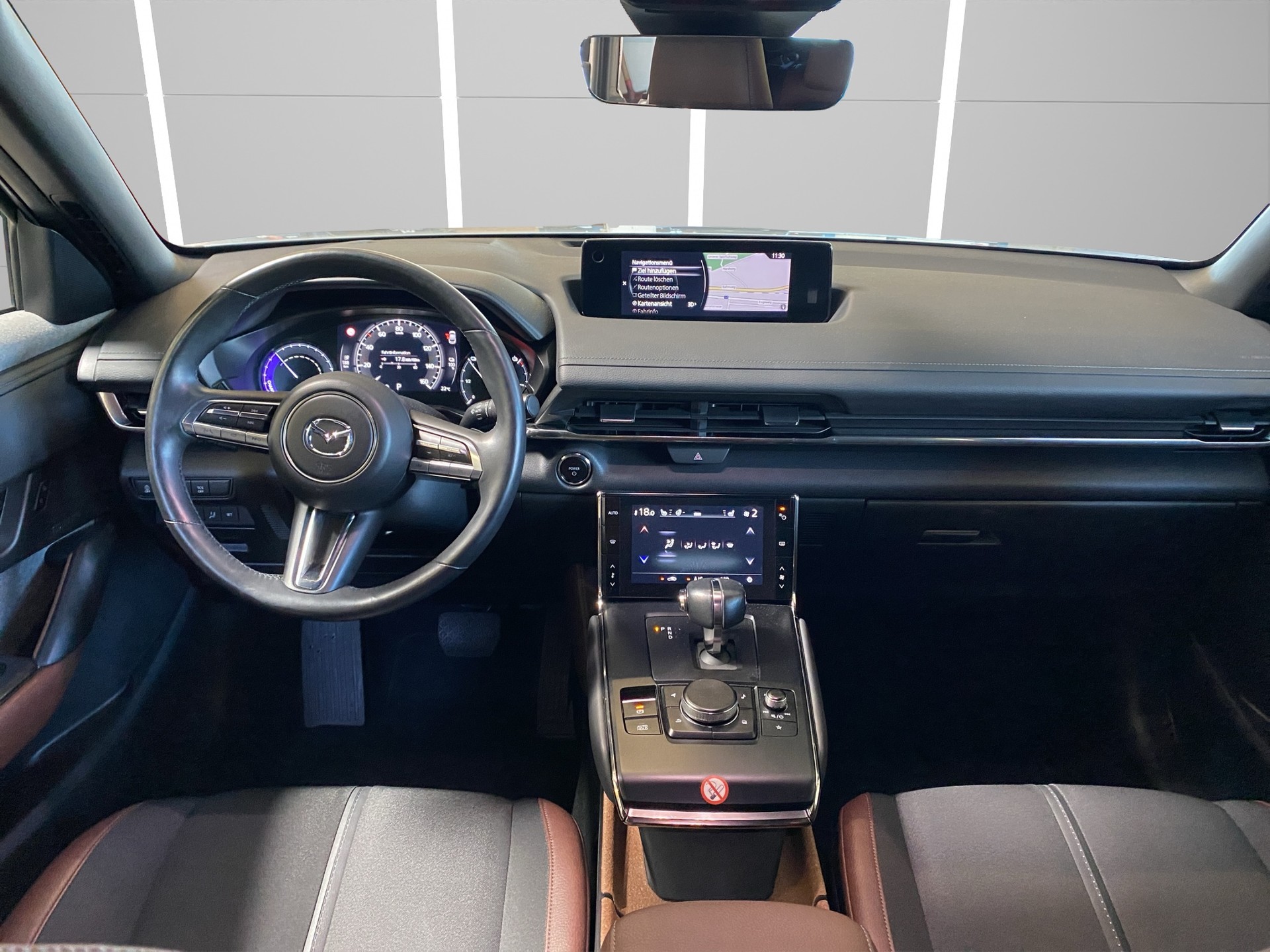 MAZDA MX-30 e-Skyactiv Revolution-image-11