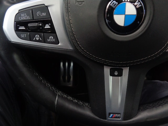 BMW X5 xDrive M50d Steptronic-image-10