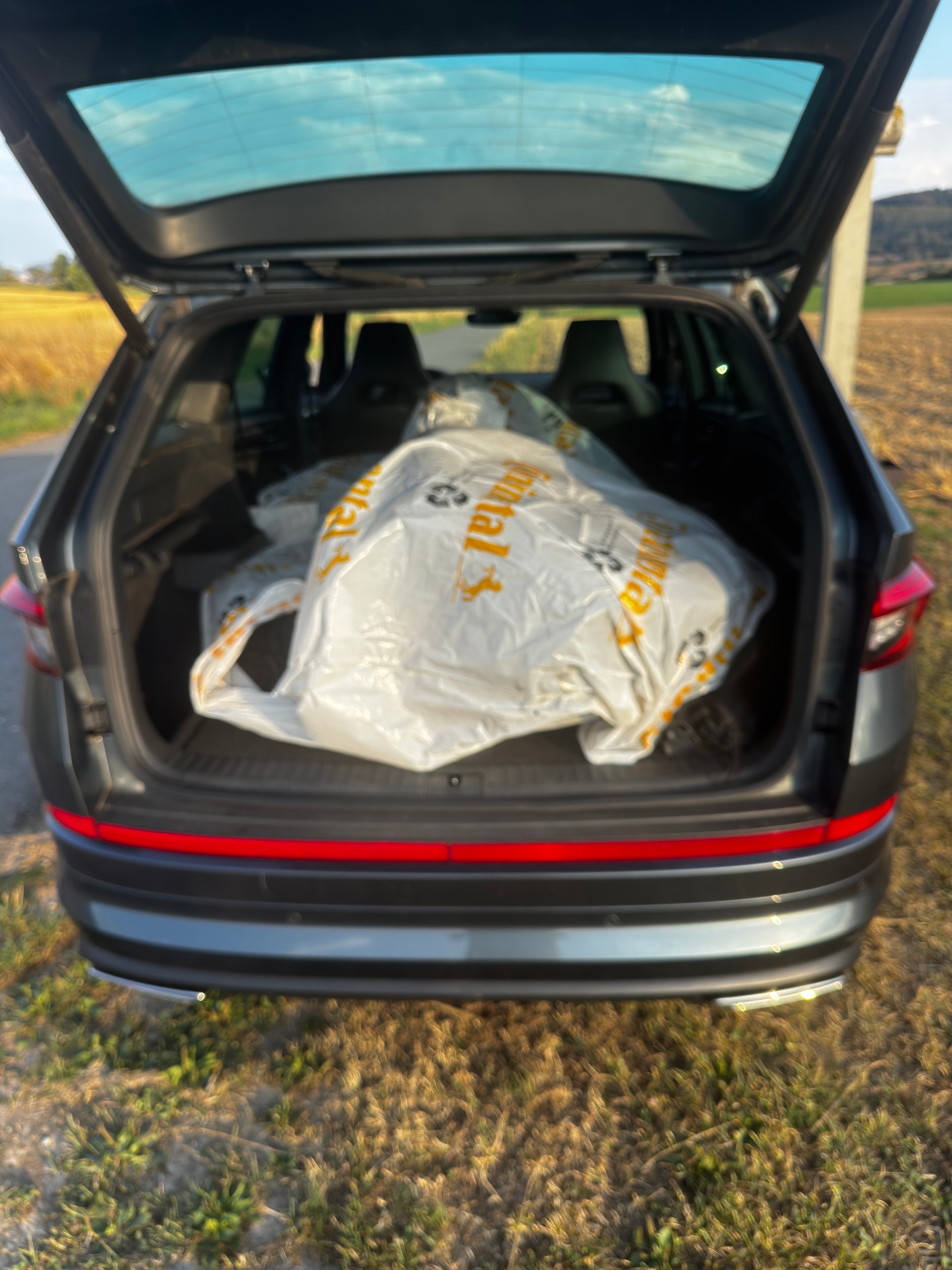 SKODA 2.0 Bi-TDI 240 RS DSG 4x4-image-4