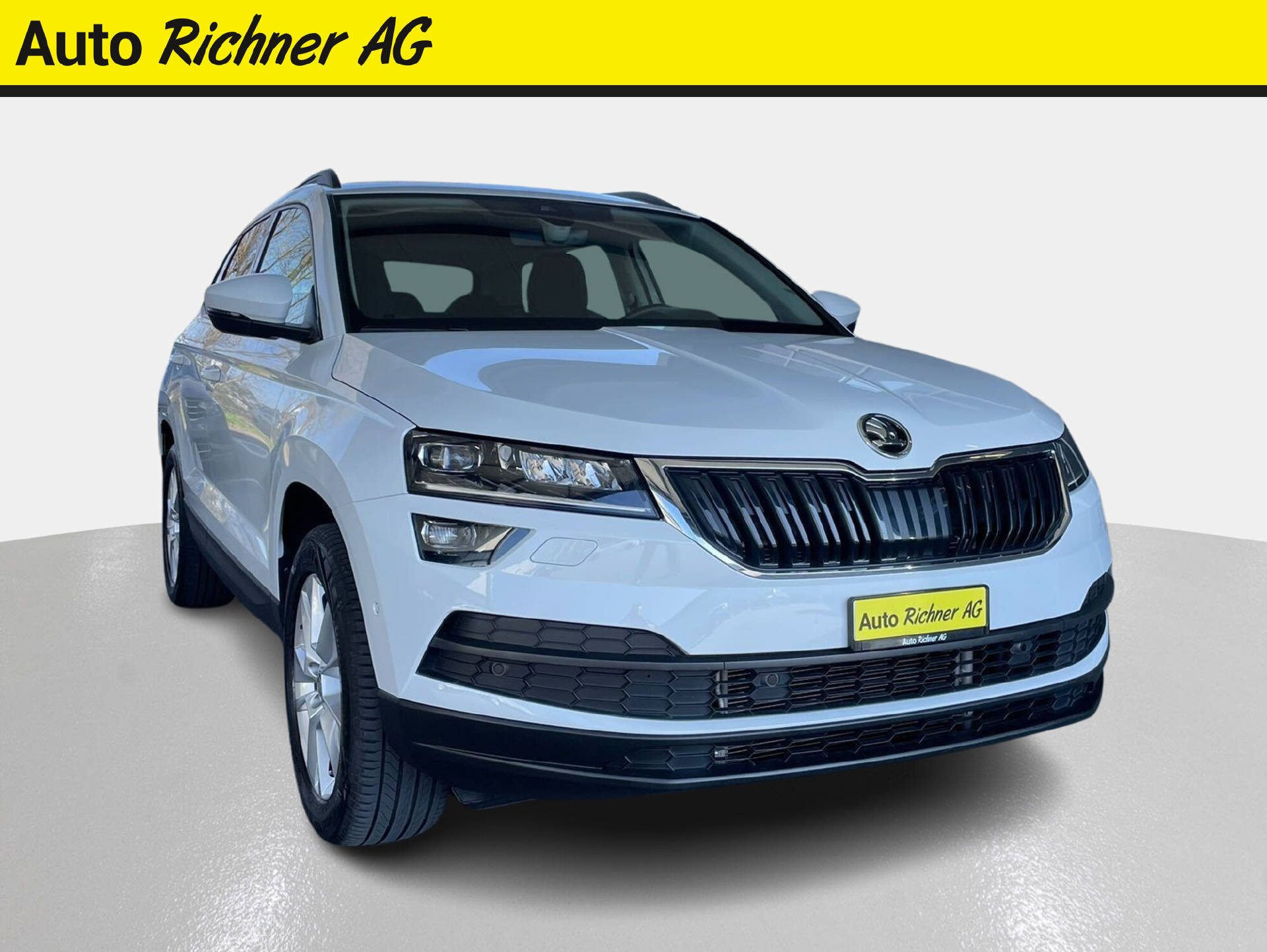 SKODA Karoq 2.0 TDI Style 4x4 DSG