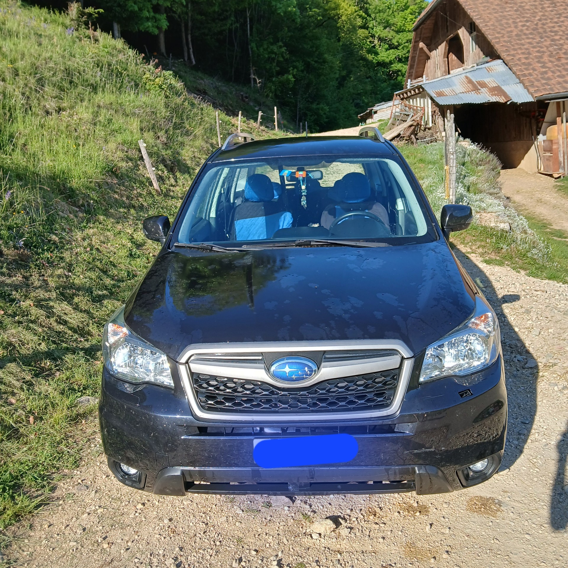 SUBARU 2.0 Swiss-image-1