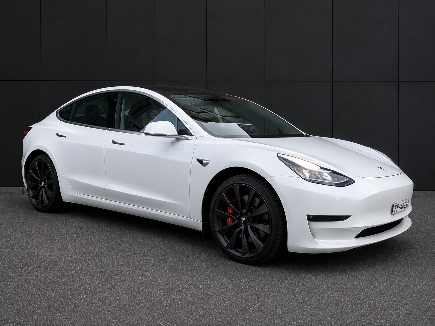 TESLA Performance D-image-1