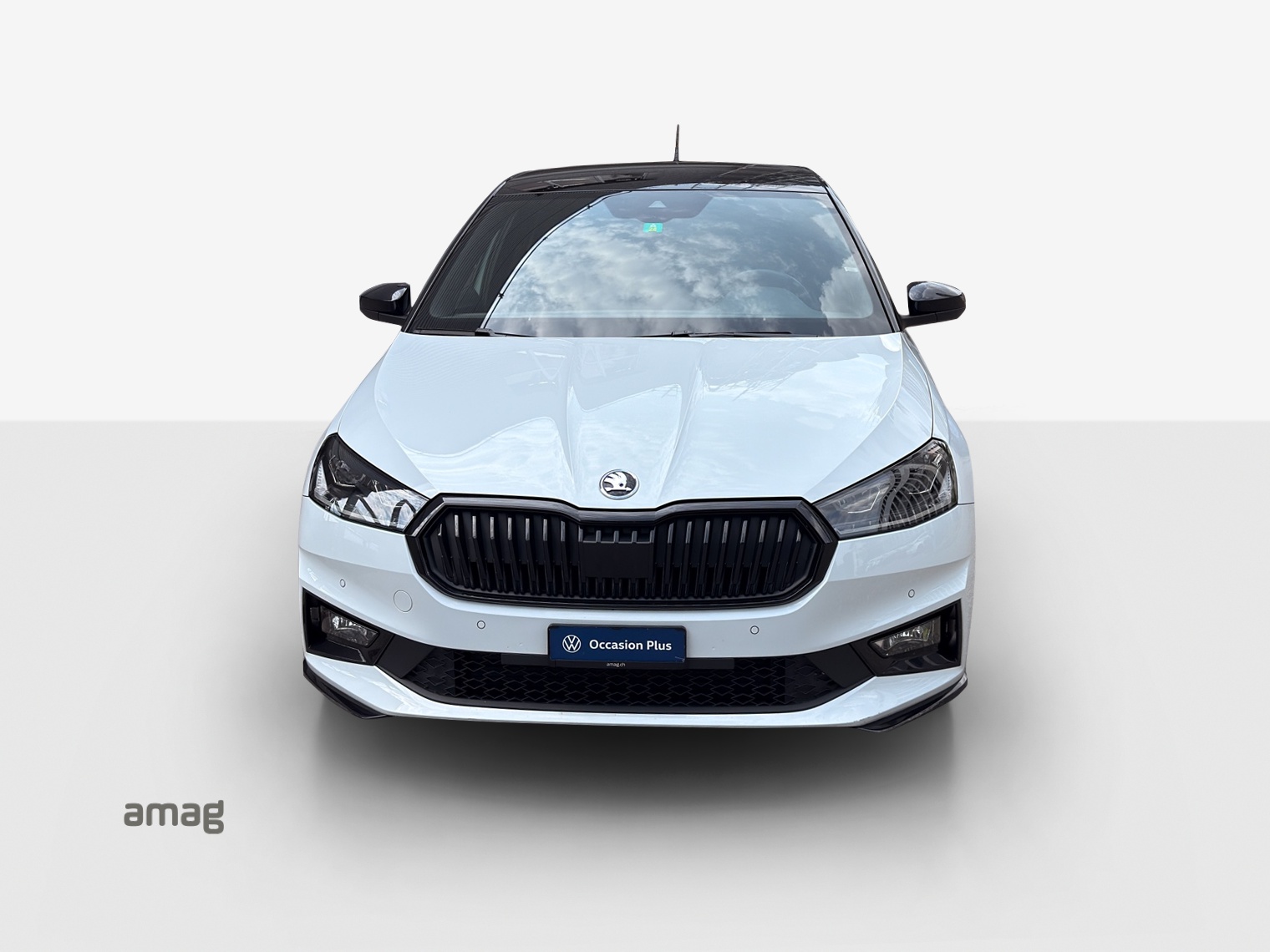 SKODA Fabia 1.0 TSI Monte Carlo DSG-image-6