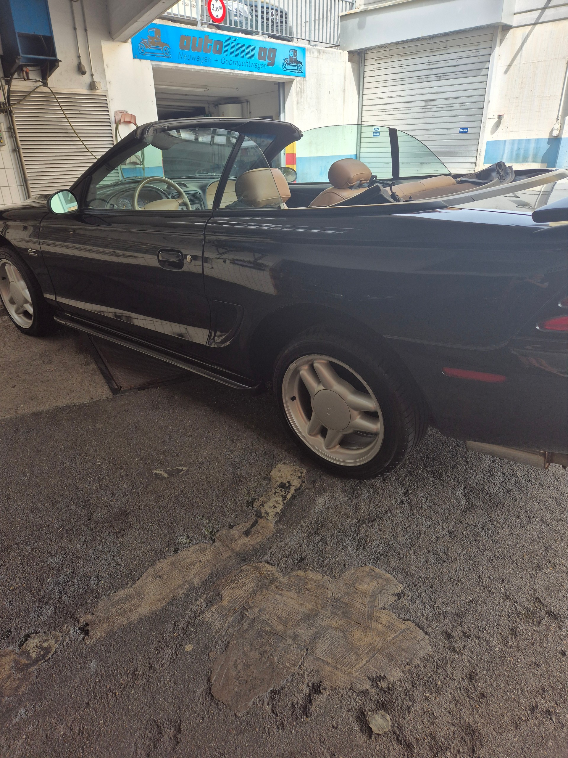 FORD MUSTANG-image-8