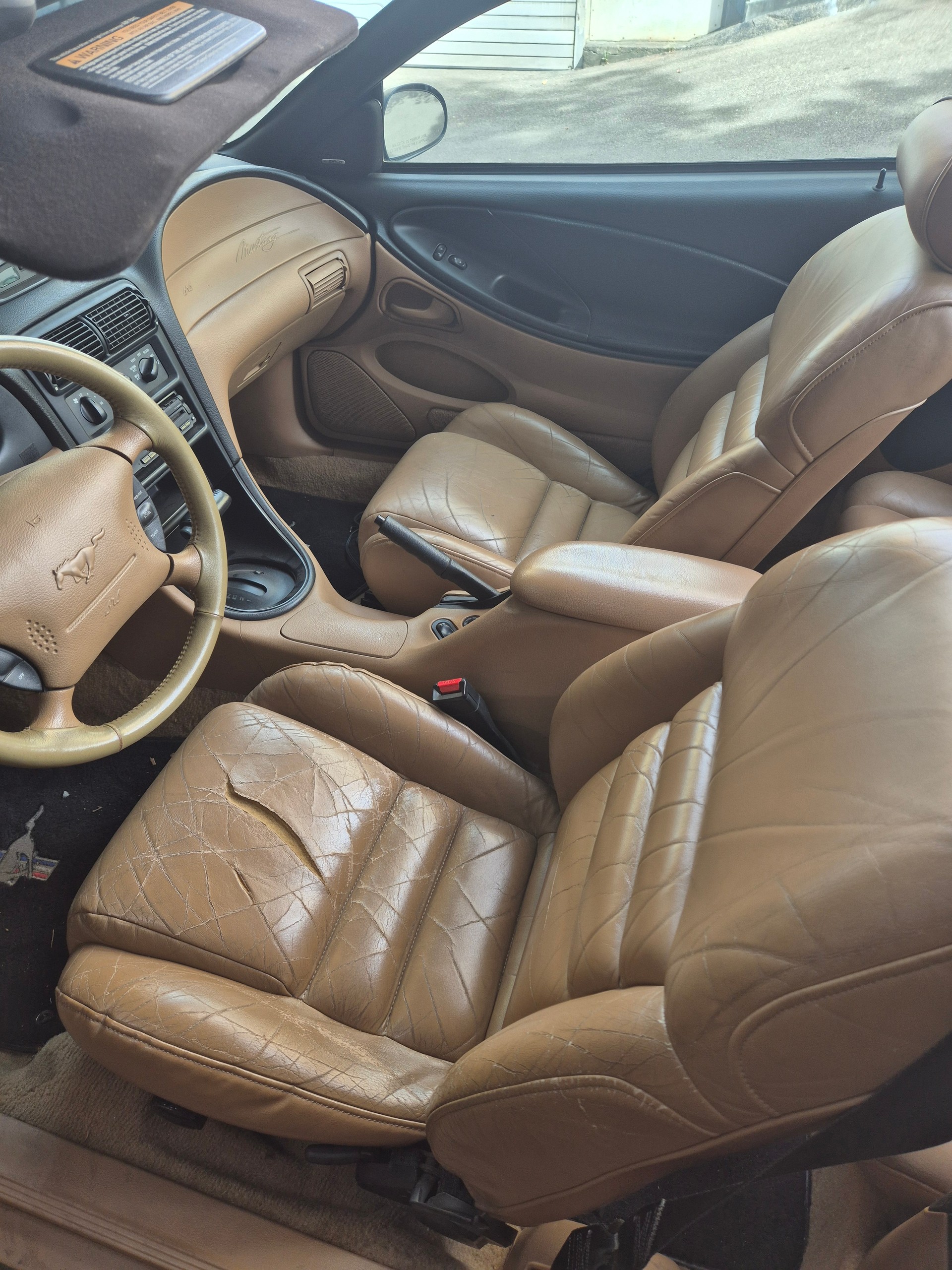 FORD MUSTANG-image-3