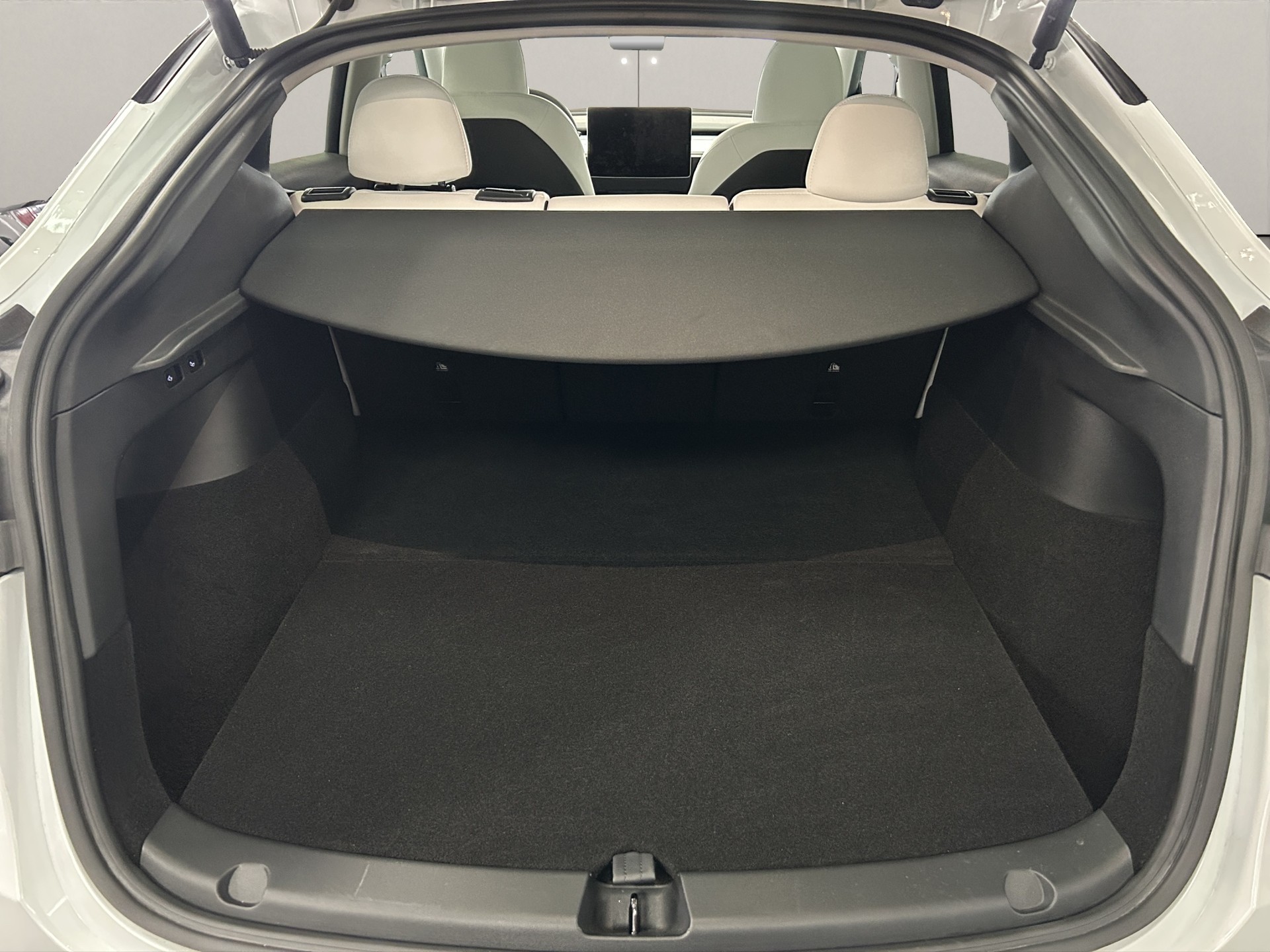 TESLA Model Y Long Range-image-10