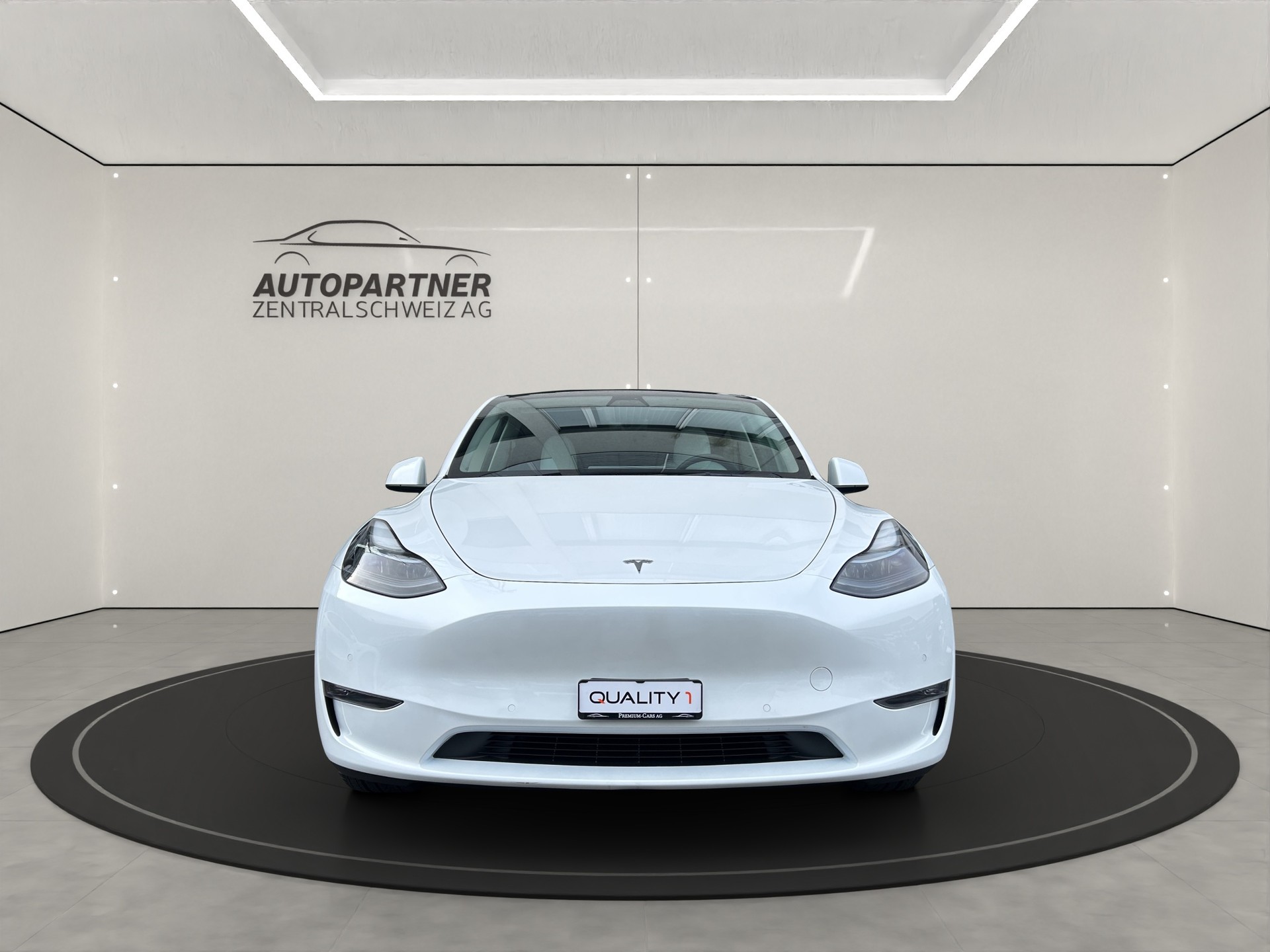 TESLA Model Y Long Range-image-3