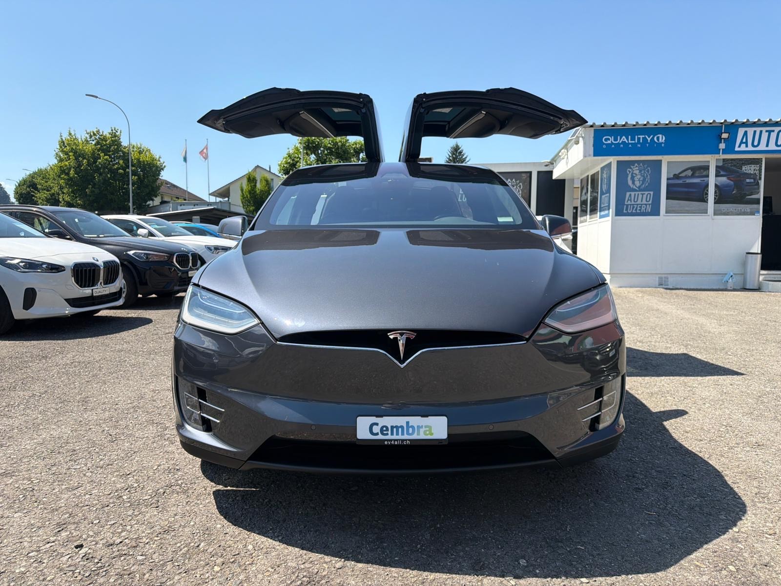 TESLA Model X 100 D Performance-image-6