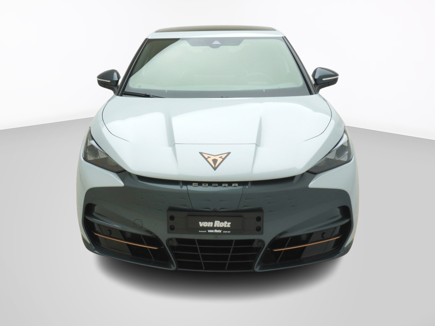 CUPRA Tavascan VZ Adrenaline-image-6