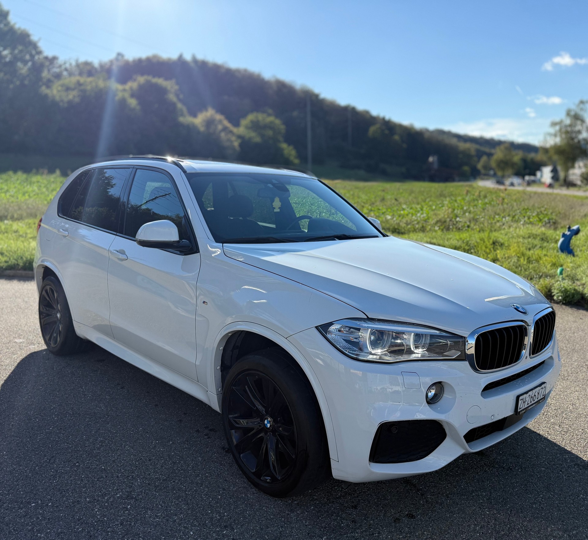 BMW X5 xDrive 30d Steptronic-image-1