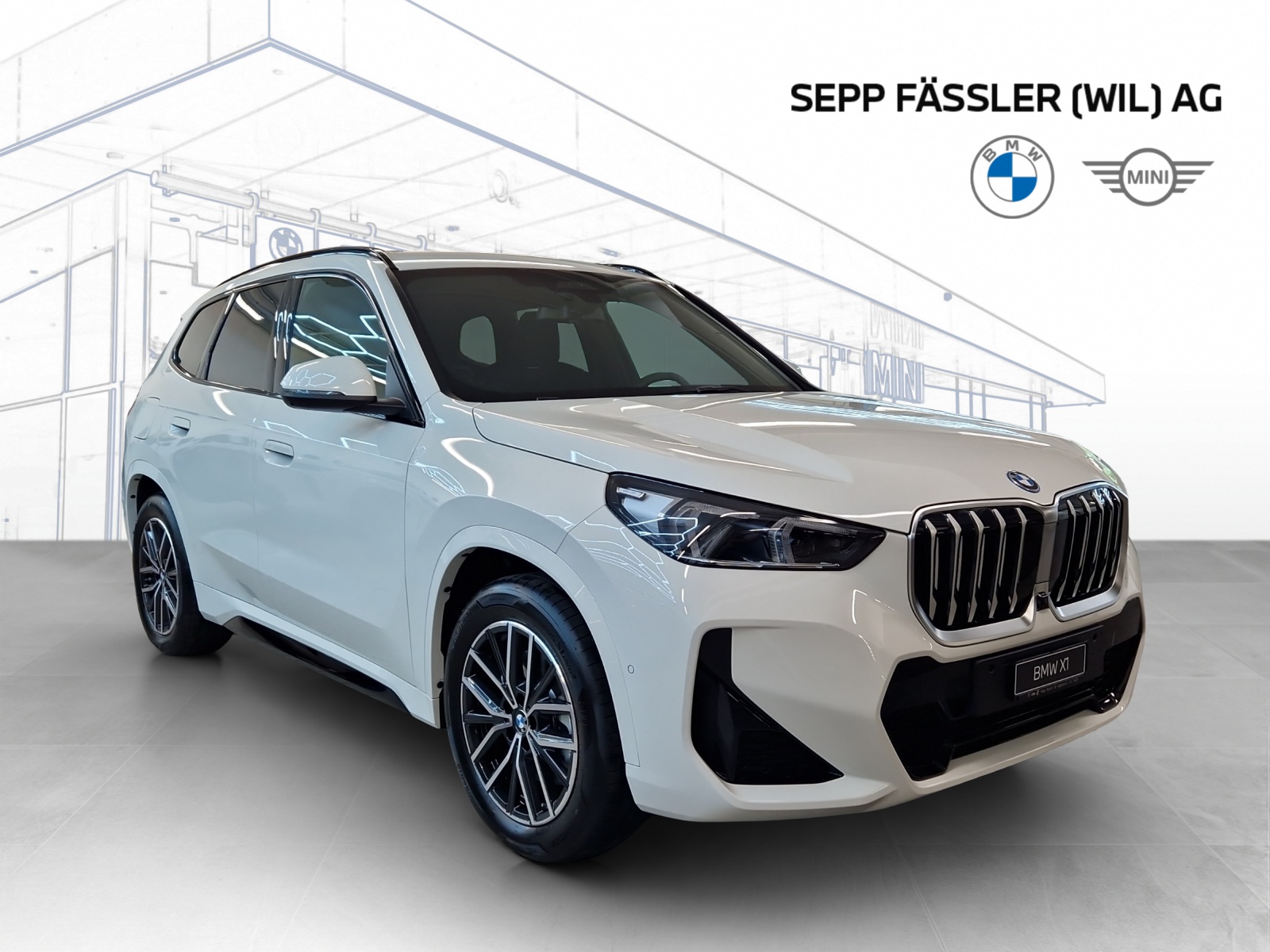 BMW X1 xDrive 30e M Sport-showroom-element-2
