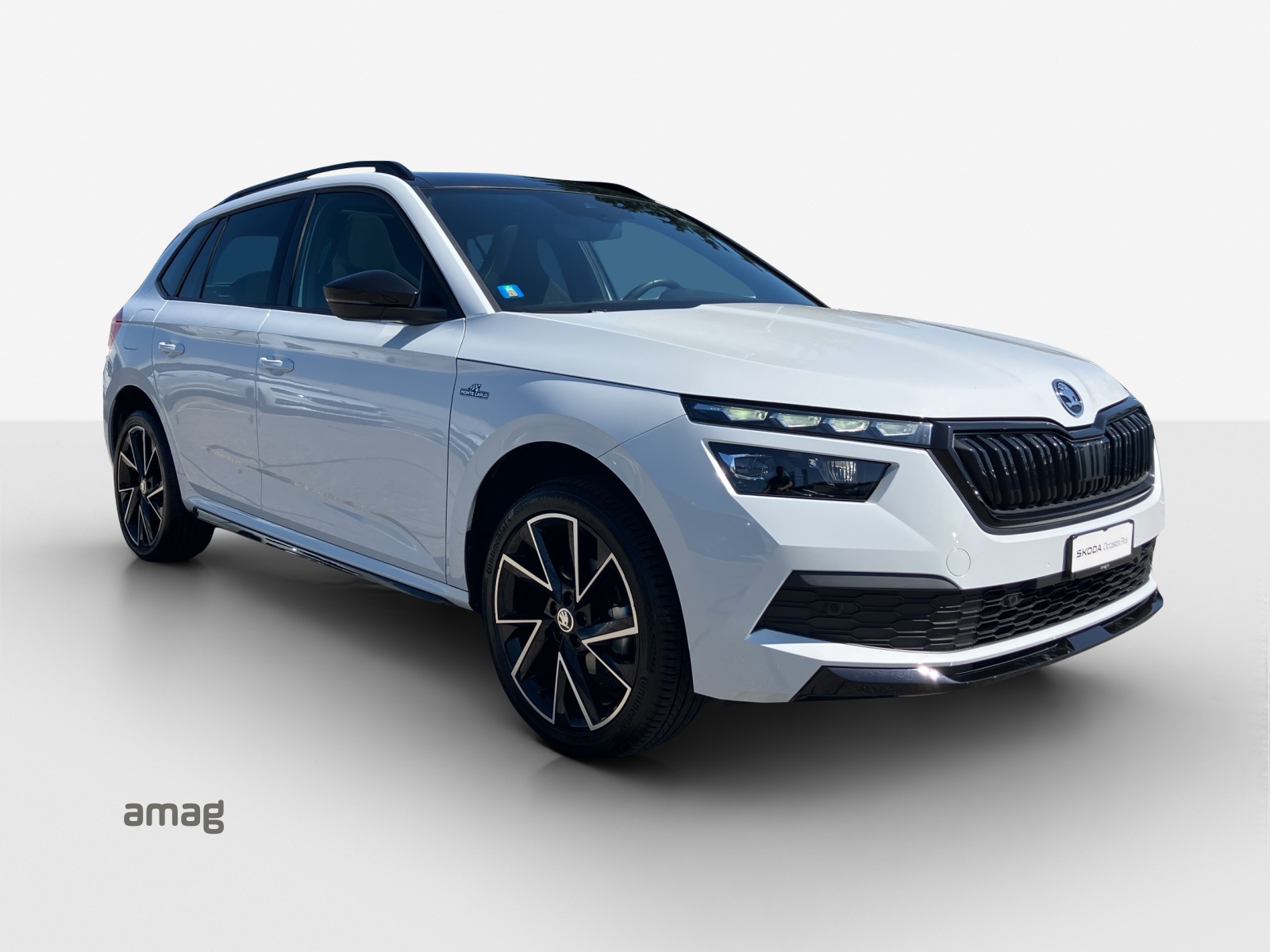 SKODA Kamiq 1.0 TSI Monte Carlo DSG-image-5