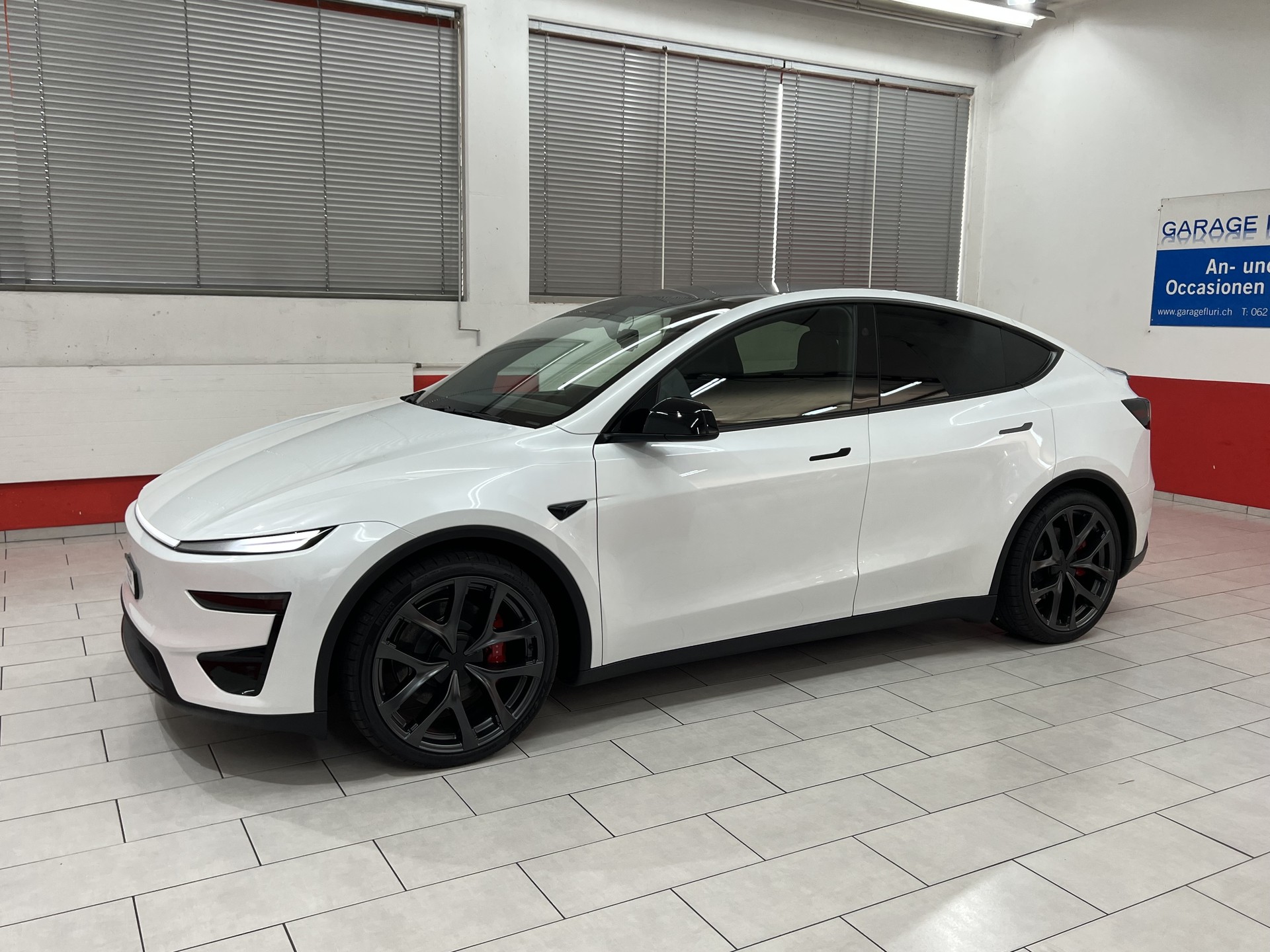 TESLA Model Y Performance-image-0