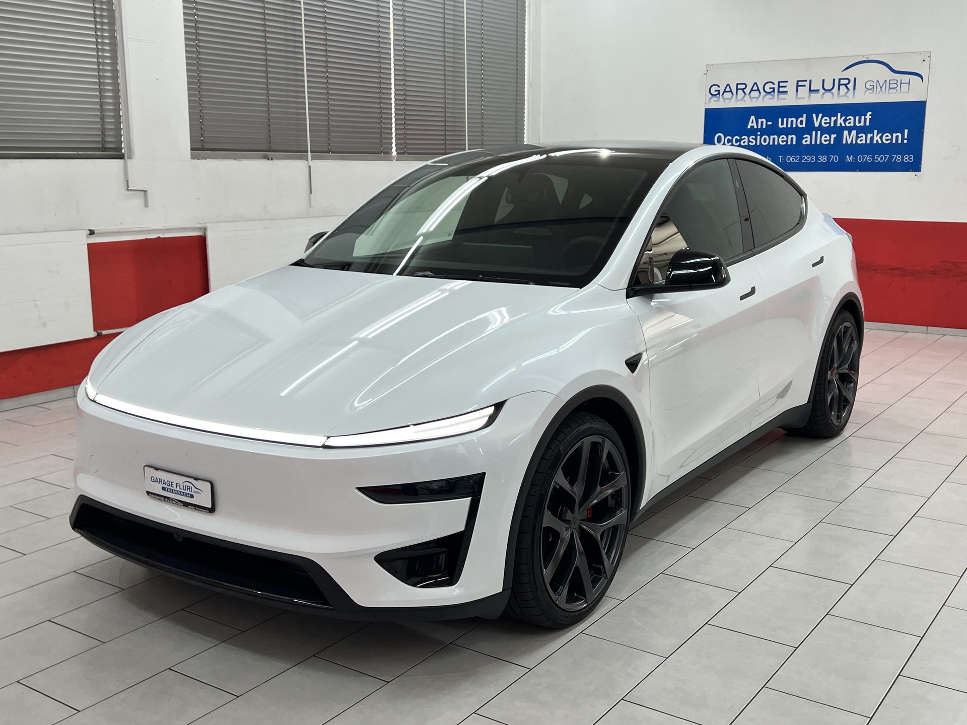 TESLA Model Y Performance-image-1