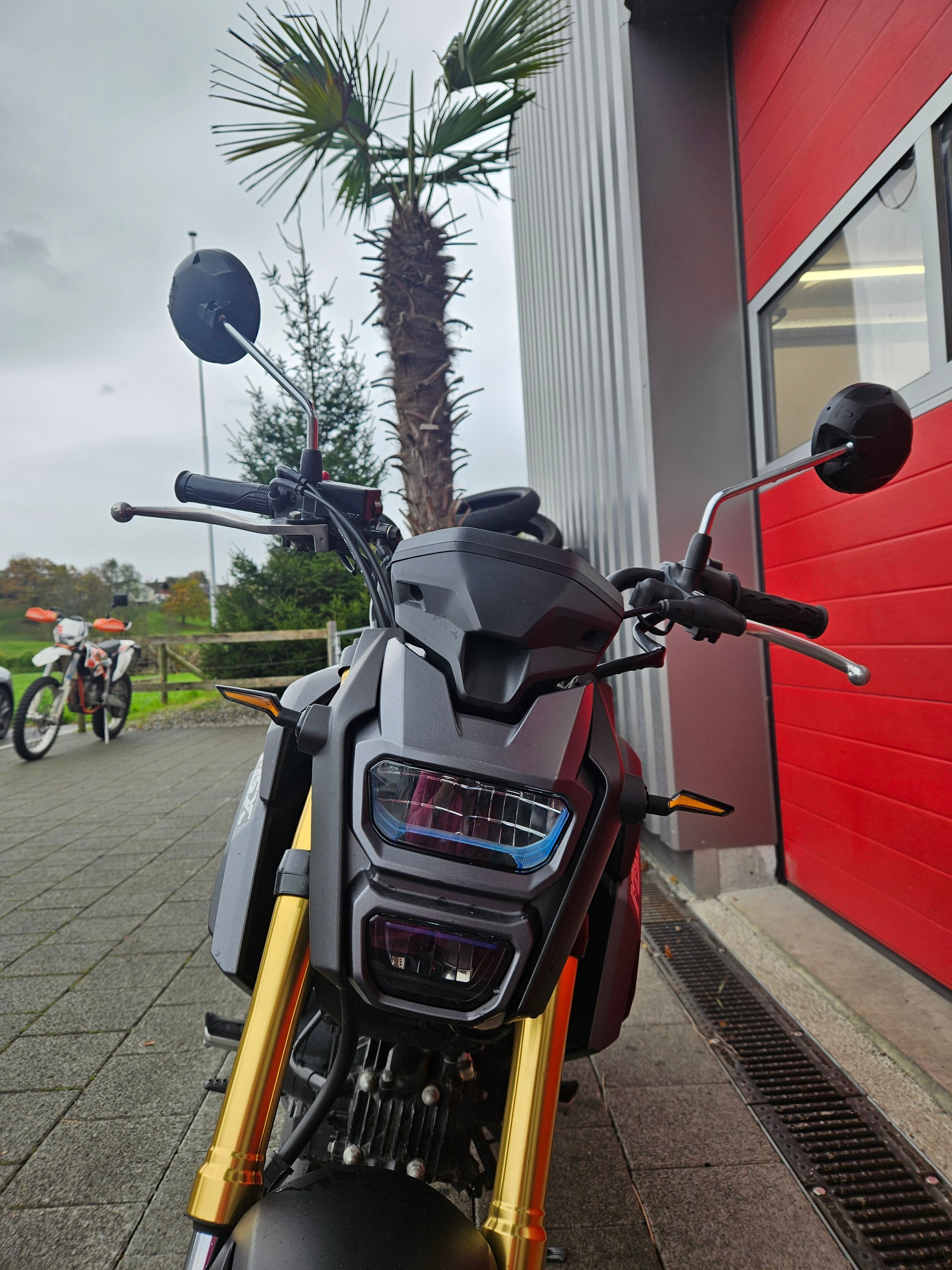HONDA MSX 125-image-3