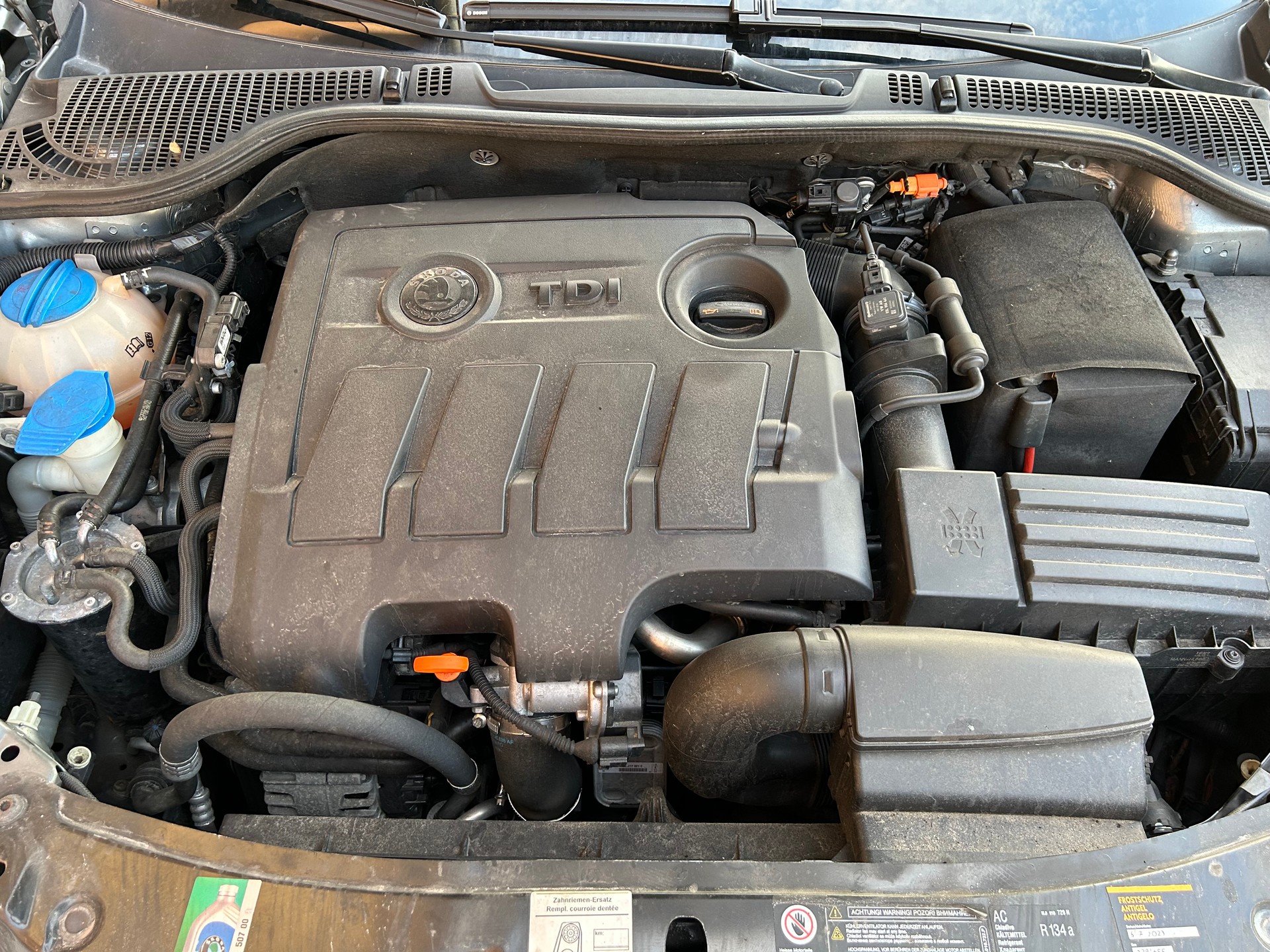 SKODA Octavia Combi 1.6 TDI Twenty20 4x4-image-15