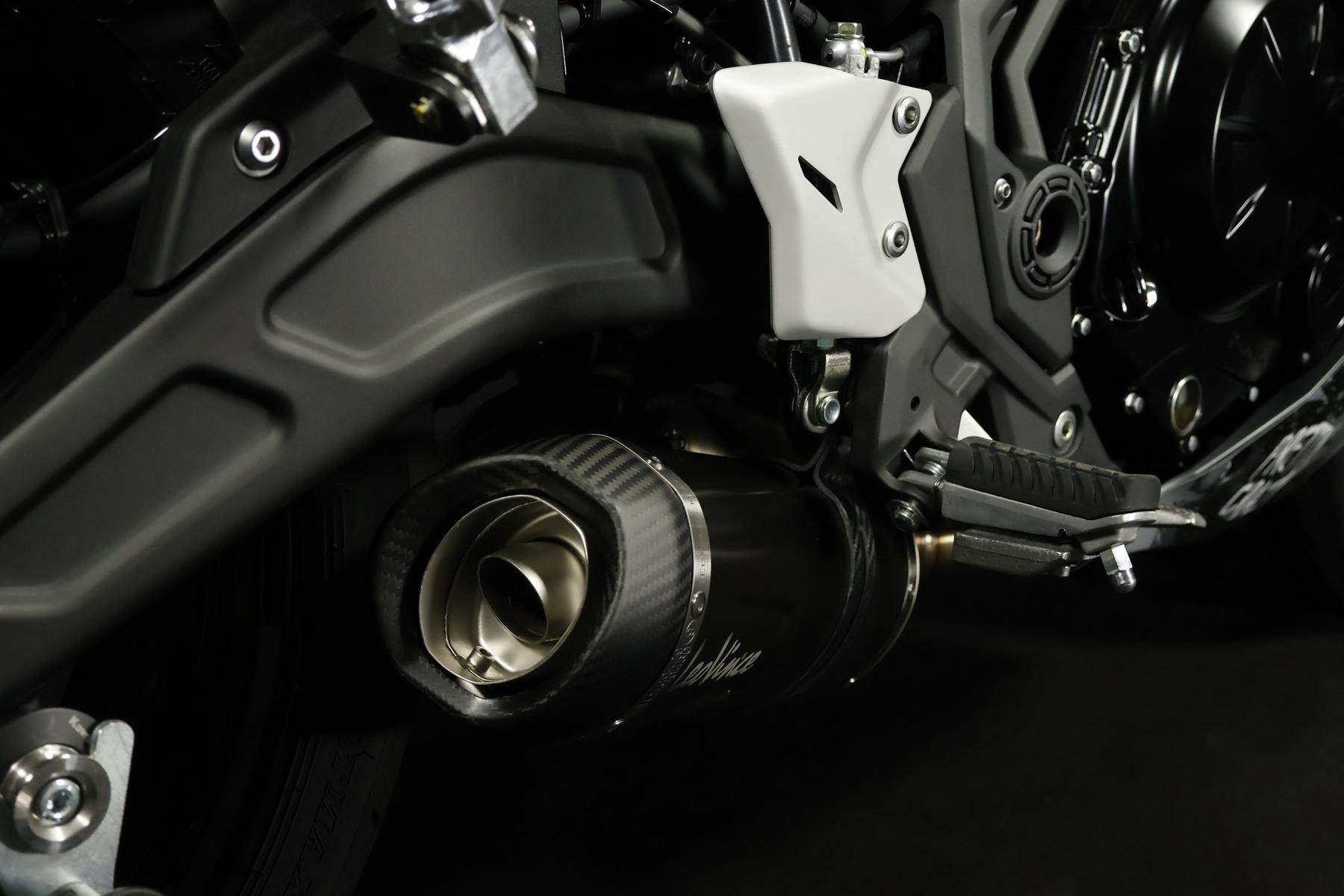 KAWASAKI Ninja 650 (50/35 KW) *Harley Quinn* Level 3-image-11