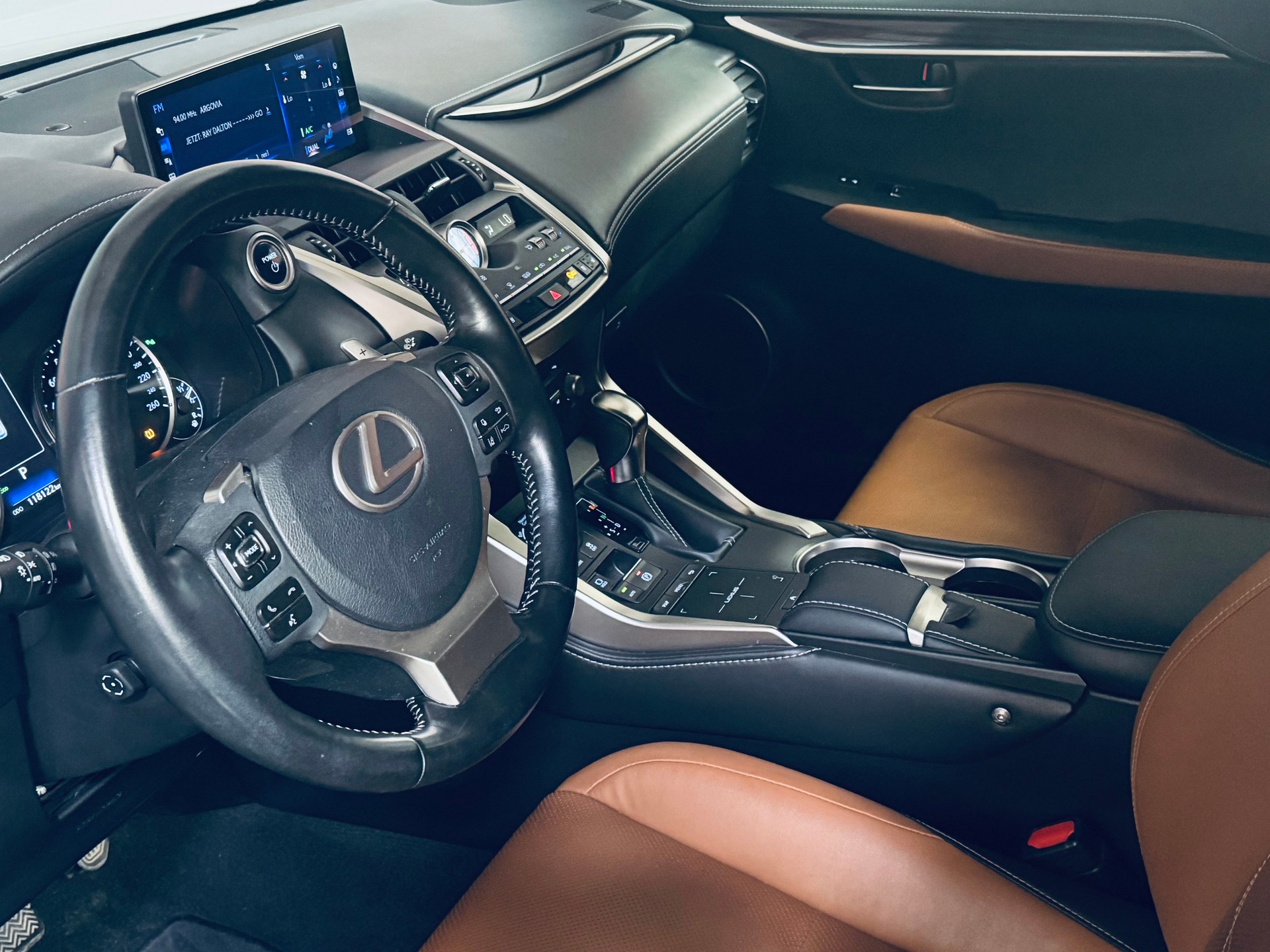 LEXUS NX 300h Excellence E-Four Automatic-image-13