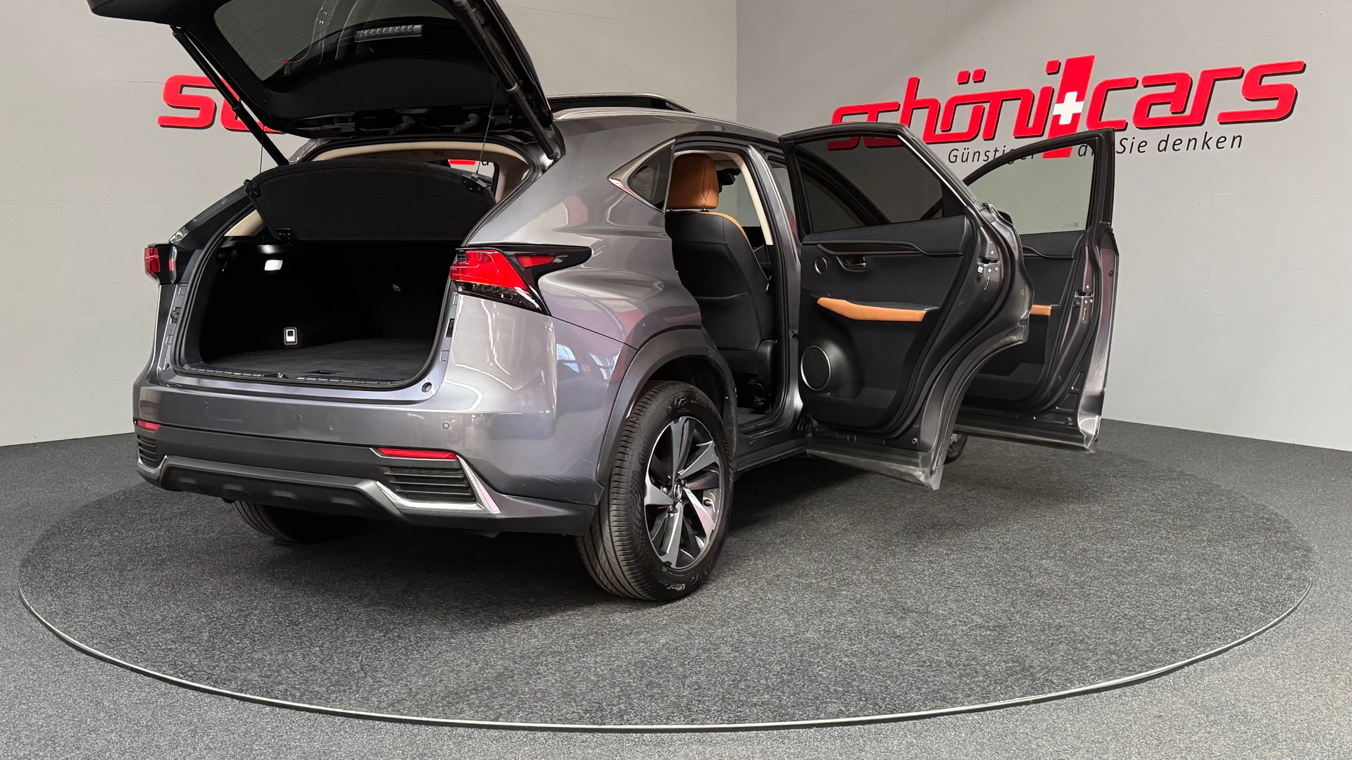 LEXUS NX 300h Excellence E-Four Automatic-image-7