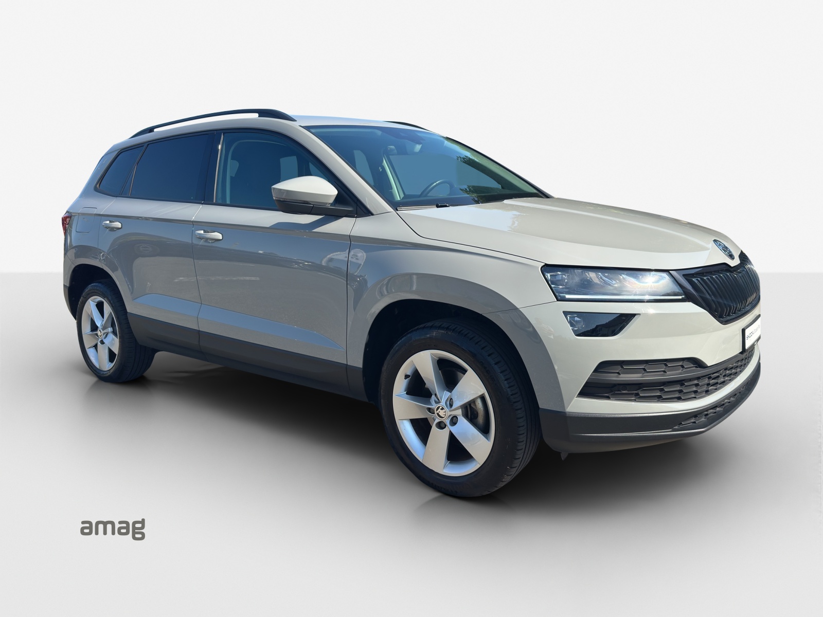 SKODA Karoq 1.5 TSI ACT Ambition DSG-image-6