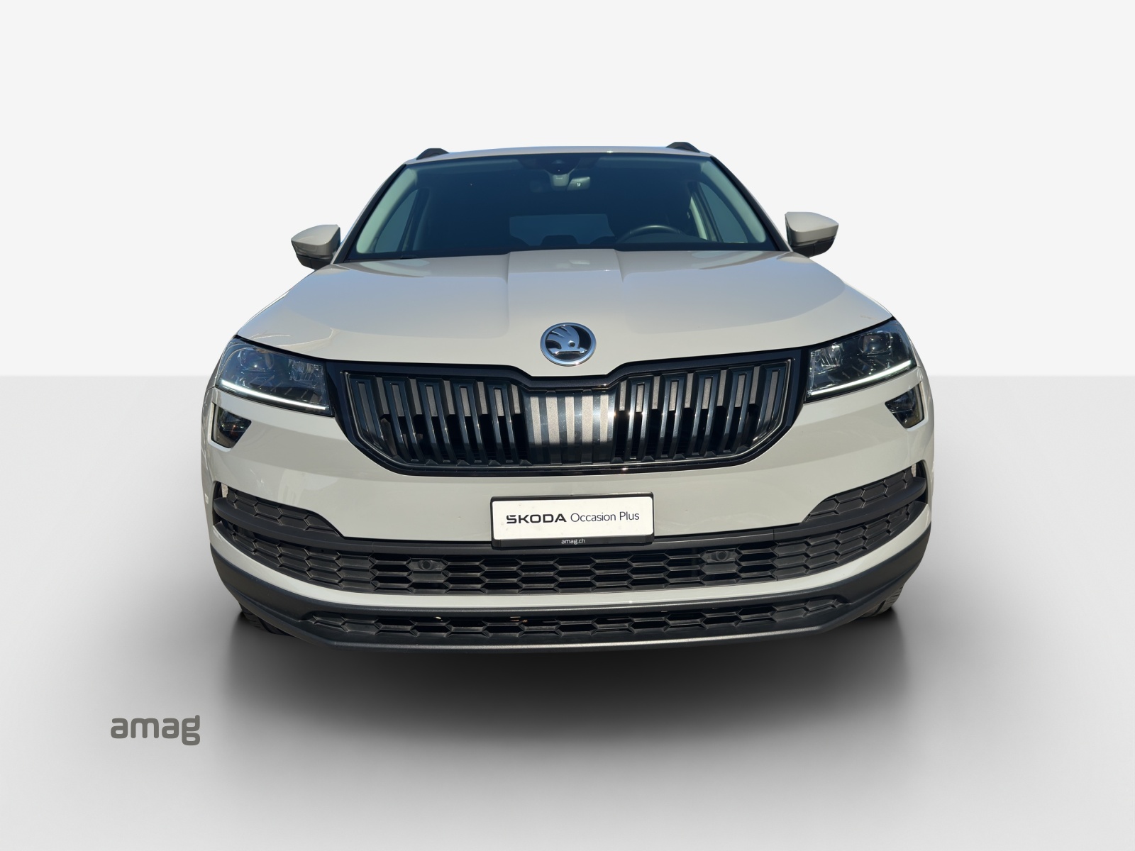 SKODA Karoq 1.5 TSI ACT Ambition DSG-image-0