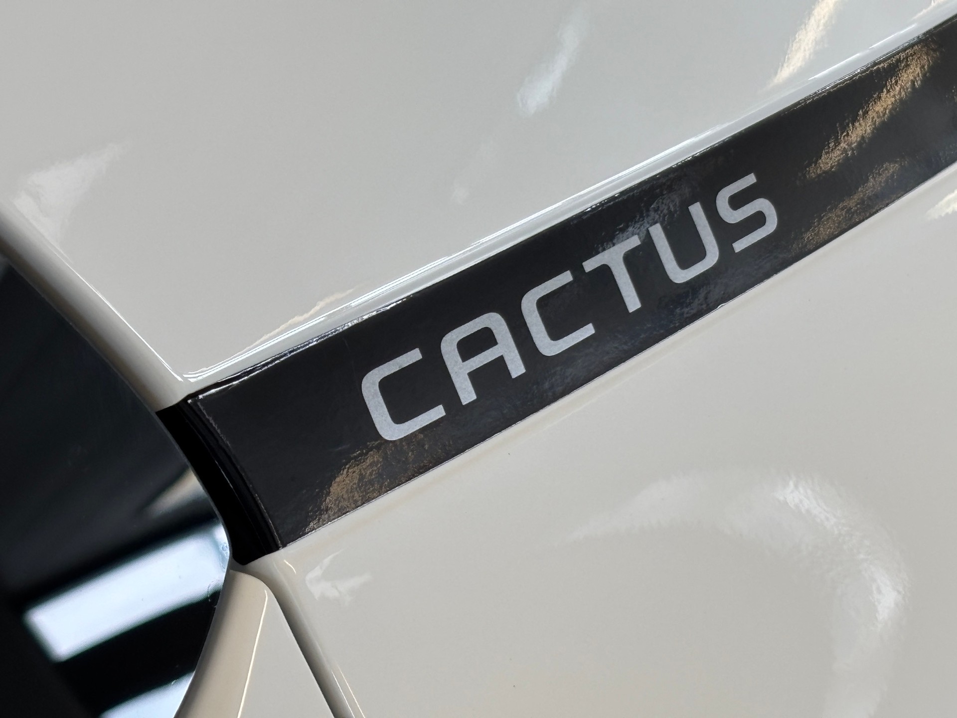CITROEN C4 Cactus 1.2 Pure Tech Shine EAT6-image-16