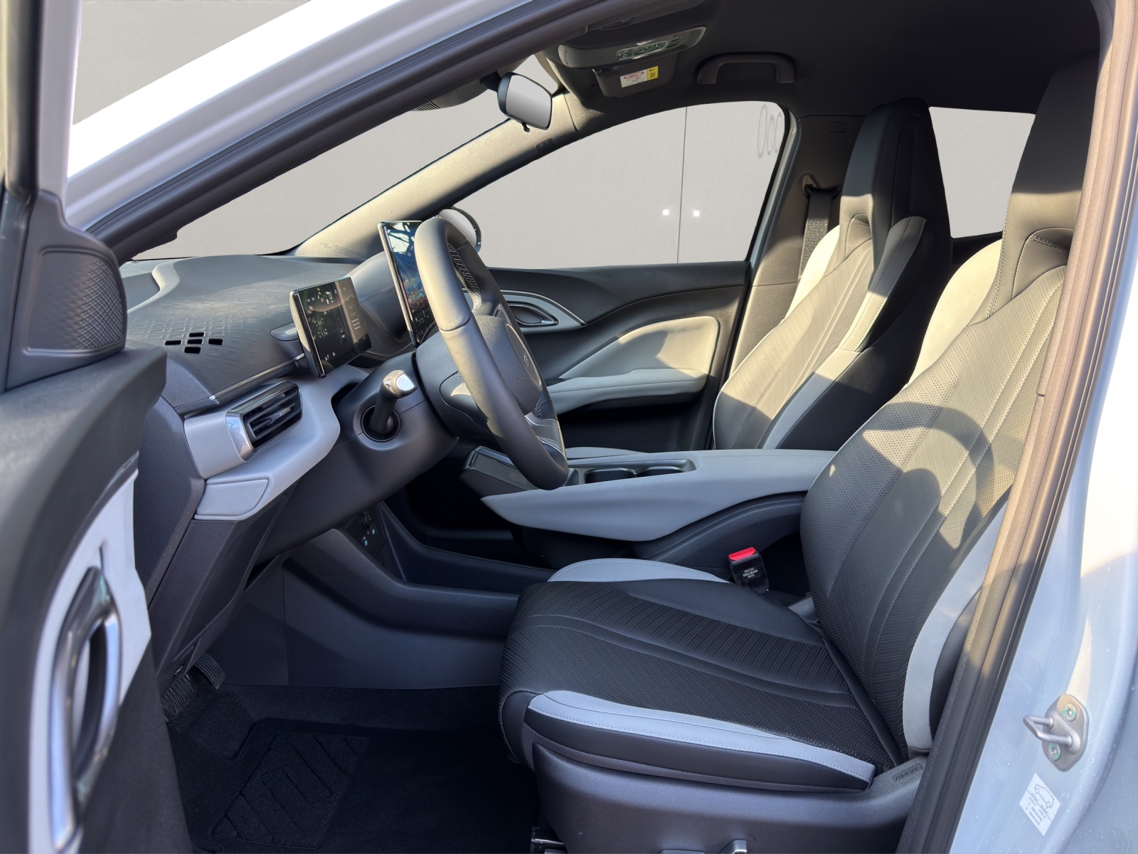 BYD Dolphin Surf Comfort-image-3