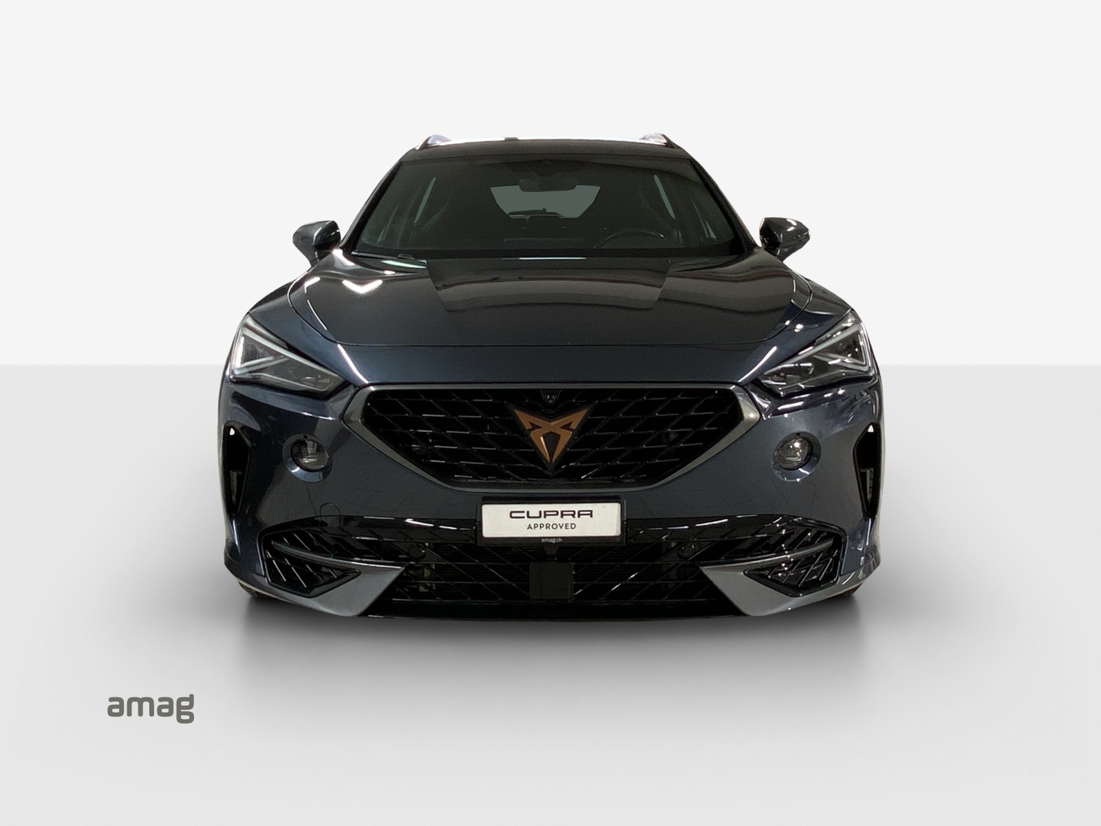 CUPRA Formentor 2.0TSI Tribe Edition 4Drive DSG-image-6